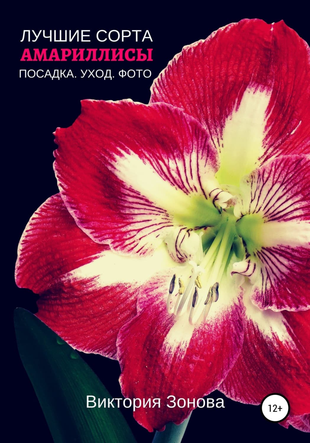 Обложка книги «Амариллисы. Лучшие сорта» — Виктория Зонова