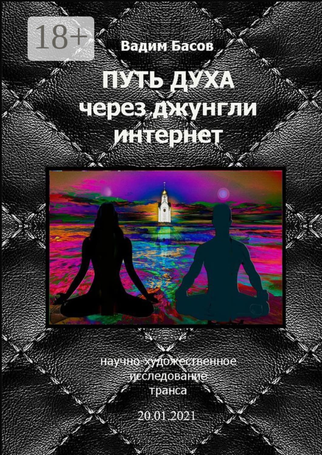Обложка книги «Путь Духа через джунгли интернет» — В. П. Басов