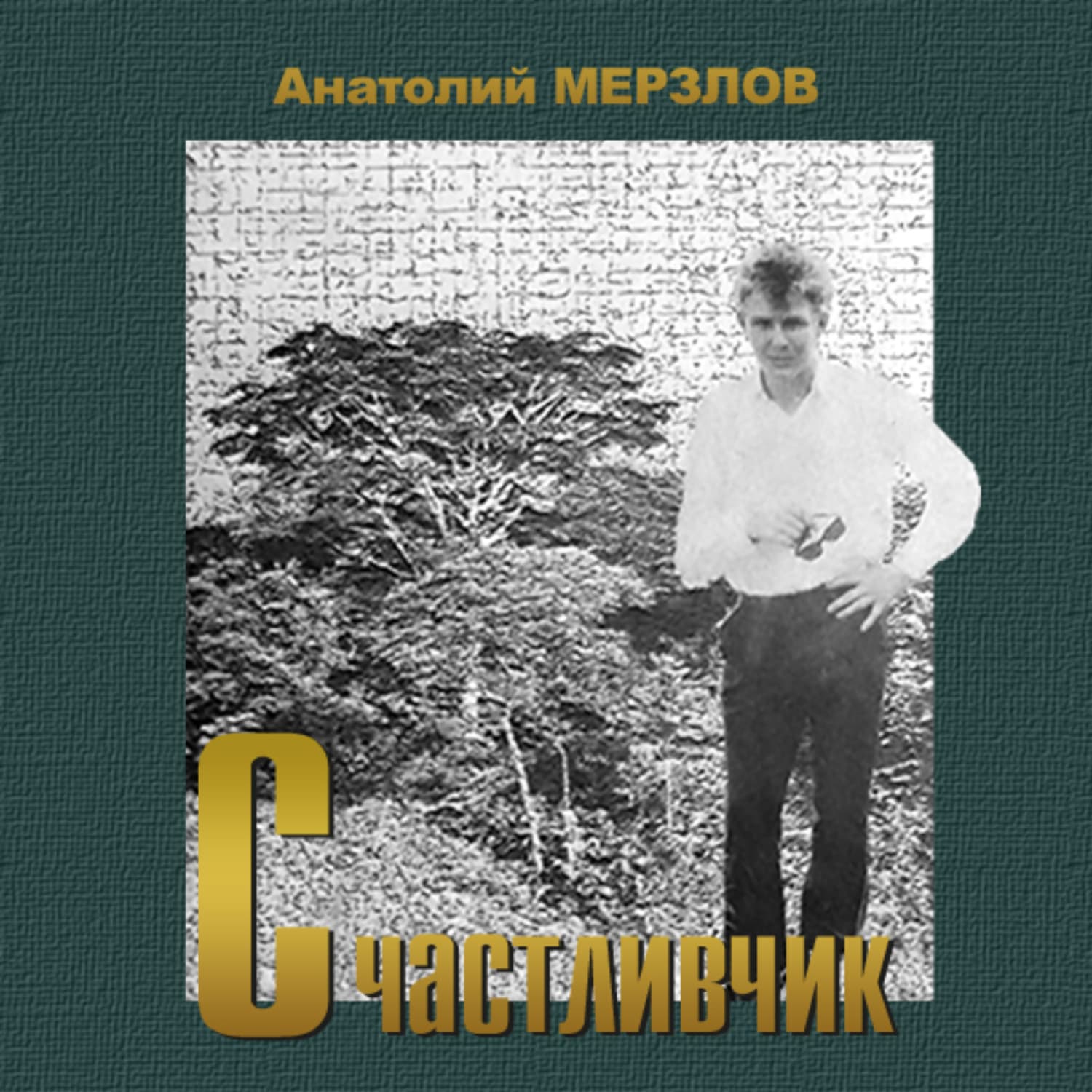 Обложка книги «Счастливчик» — Анатолий Мерзлов