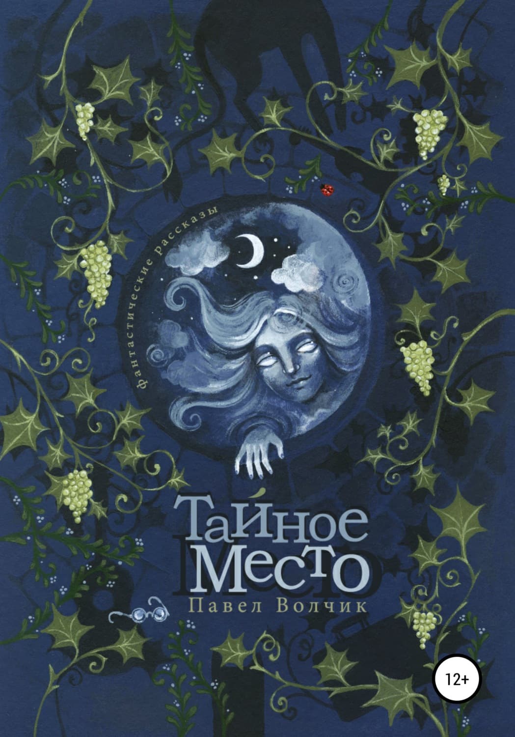 Обложка книги «Тайное Место» — Павел Волчик