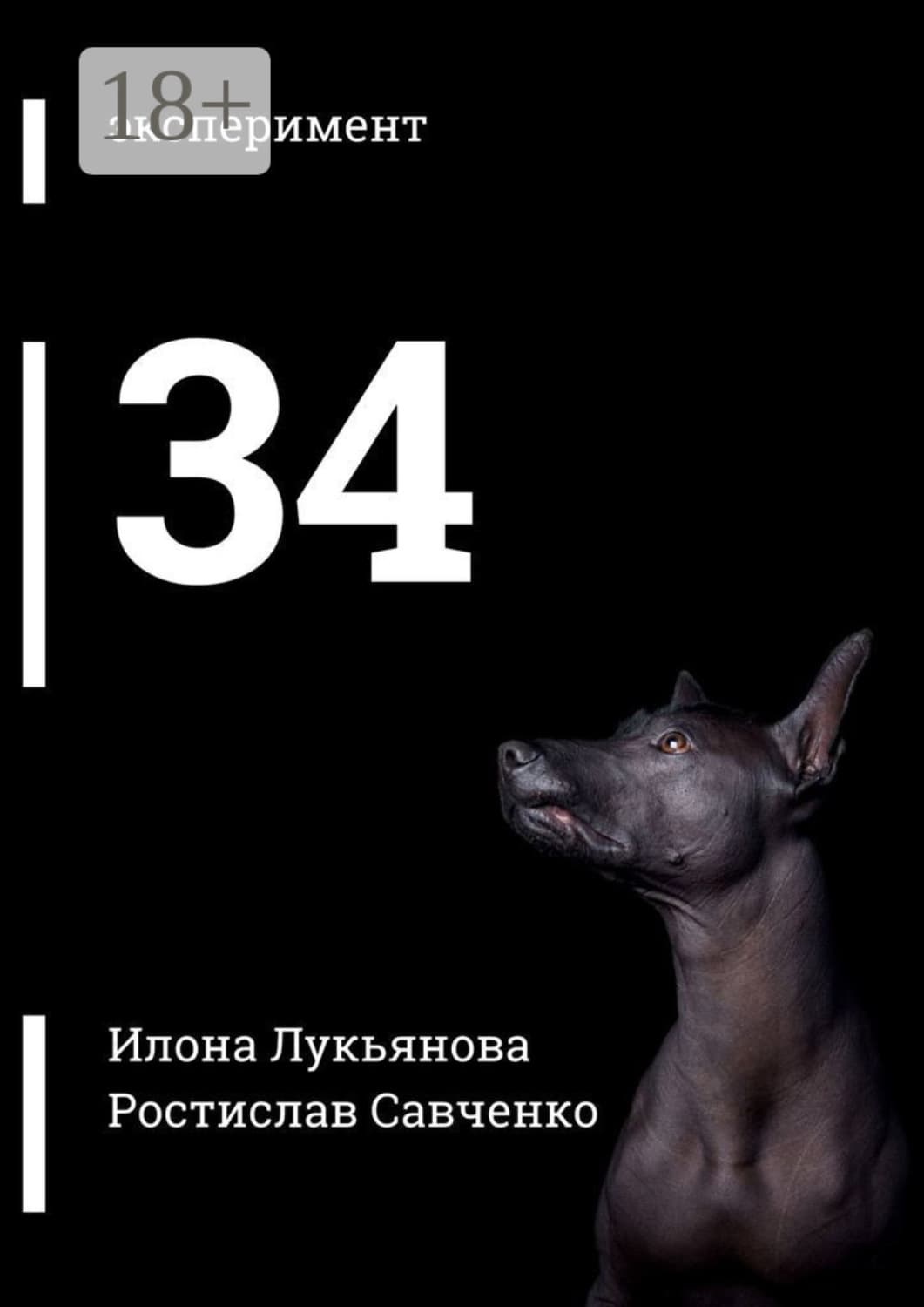 Обложка книги «34» — Инесса Лукьянова