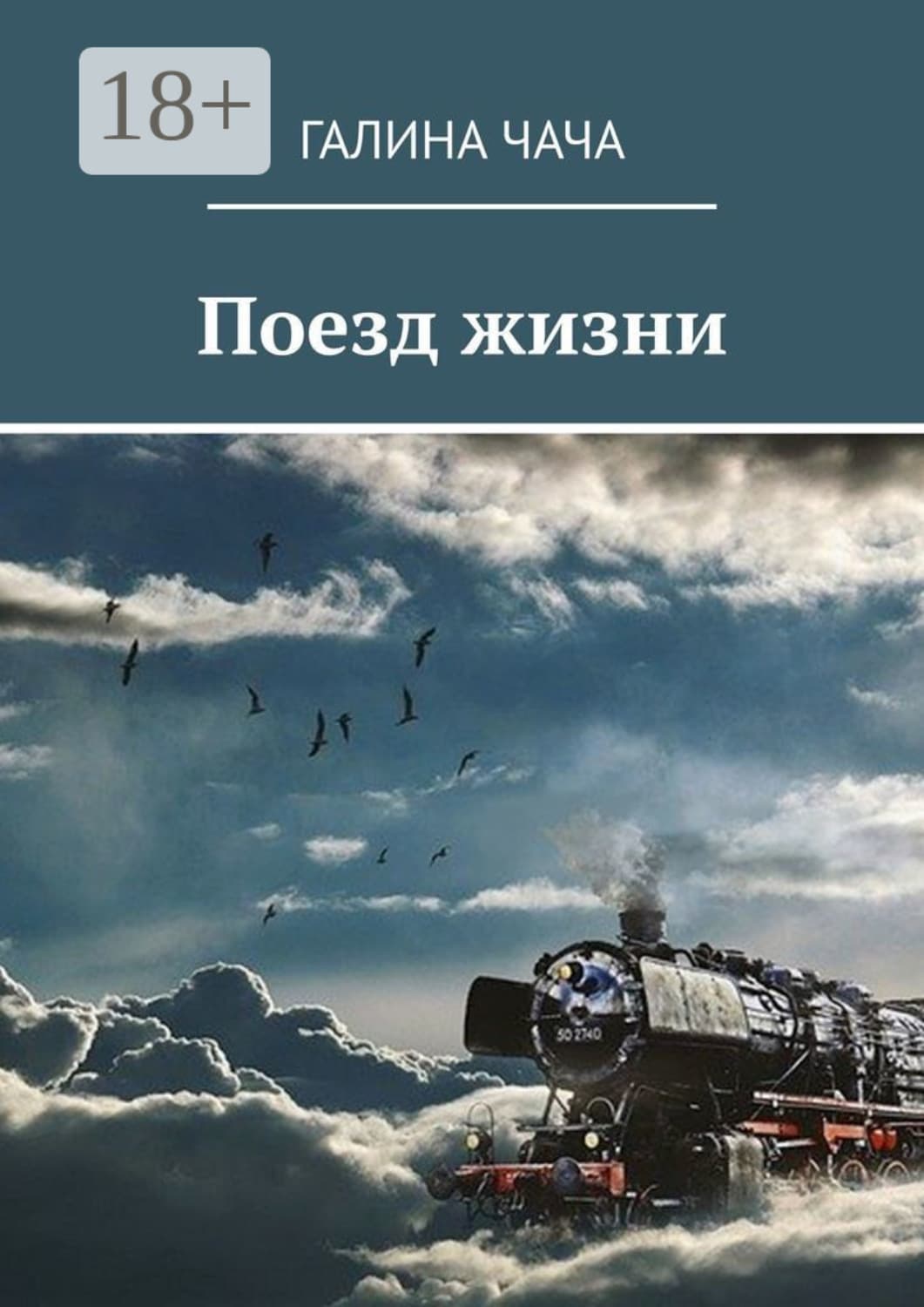 Обложка книги «Поезд жизни» — Чуб Галина
