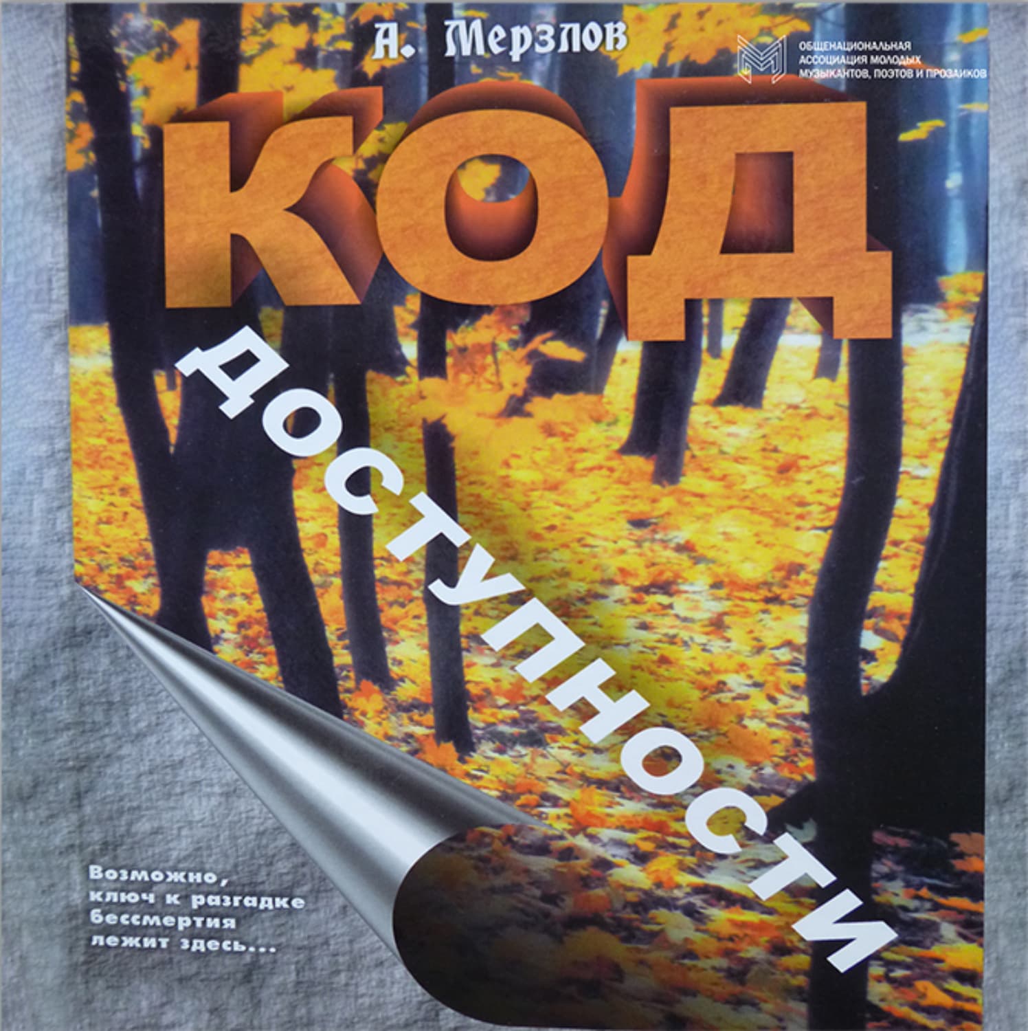 Обложка книги «Код доступности» — Анатолий Мерзлов