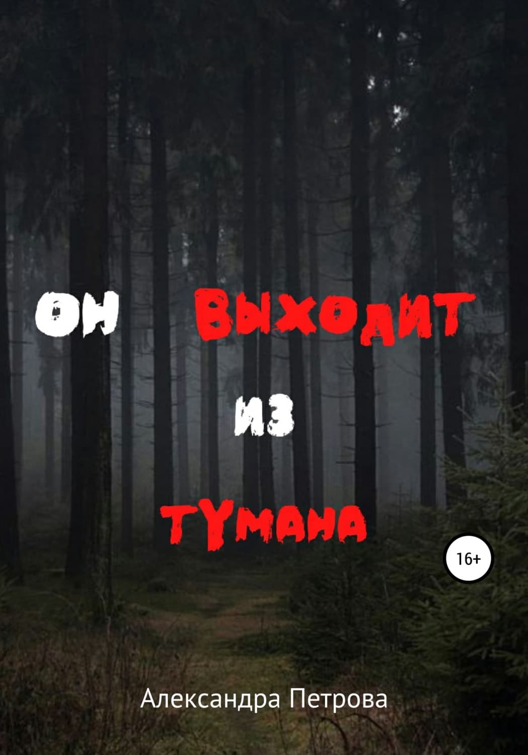 Обложка книги «Он выходит из тумана» — А. В. Петрова