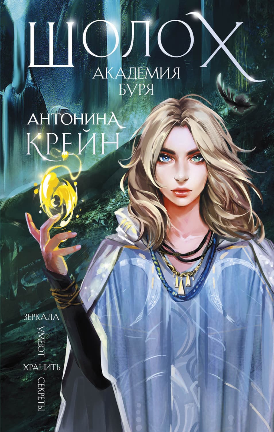 Обложка книги «Шолох. Академия Буря» — Крейн Антонина