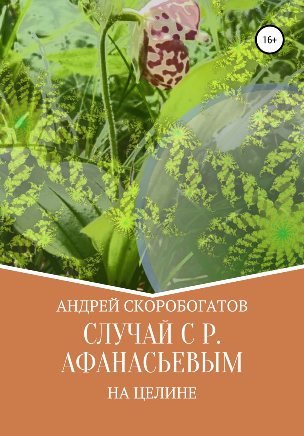 Обложка книги «Случай с Р. Афанасьевым на целине» — Андрей Скоробогатов