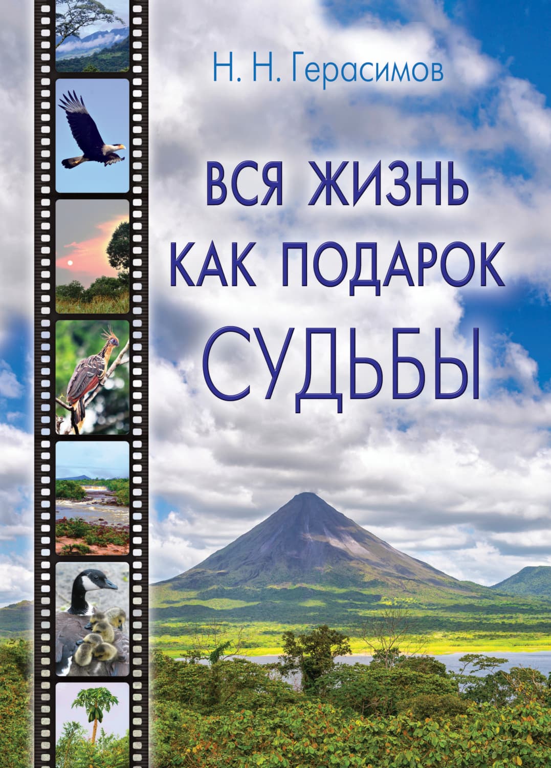 Обложка книги «Вся жизнь как подарок судьбы» — Николай Герасимов