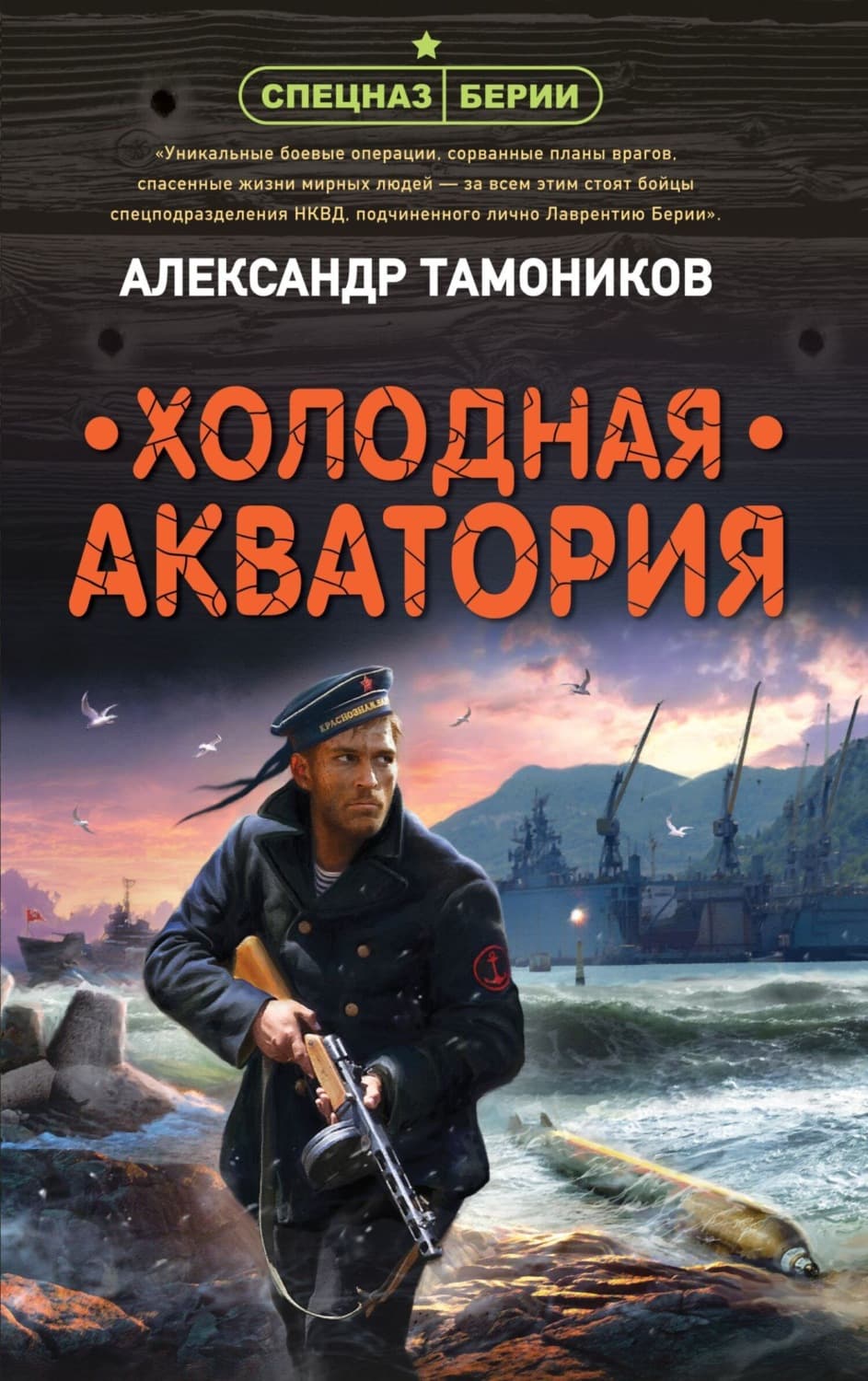 Обложка книги «Холодная акватория» — Александр Тамоников