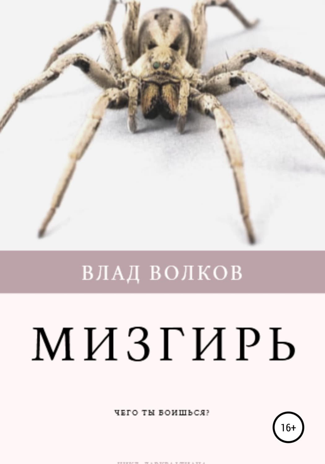 Обложка книги «Мизгирь» — В. А. Волков