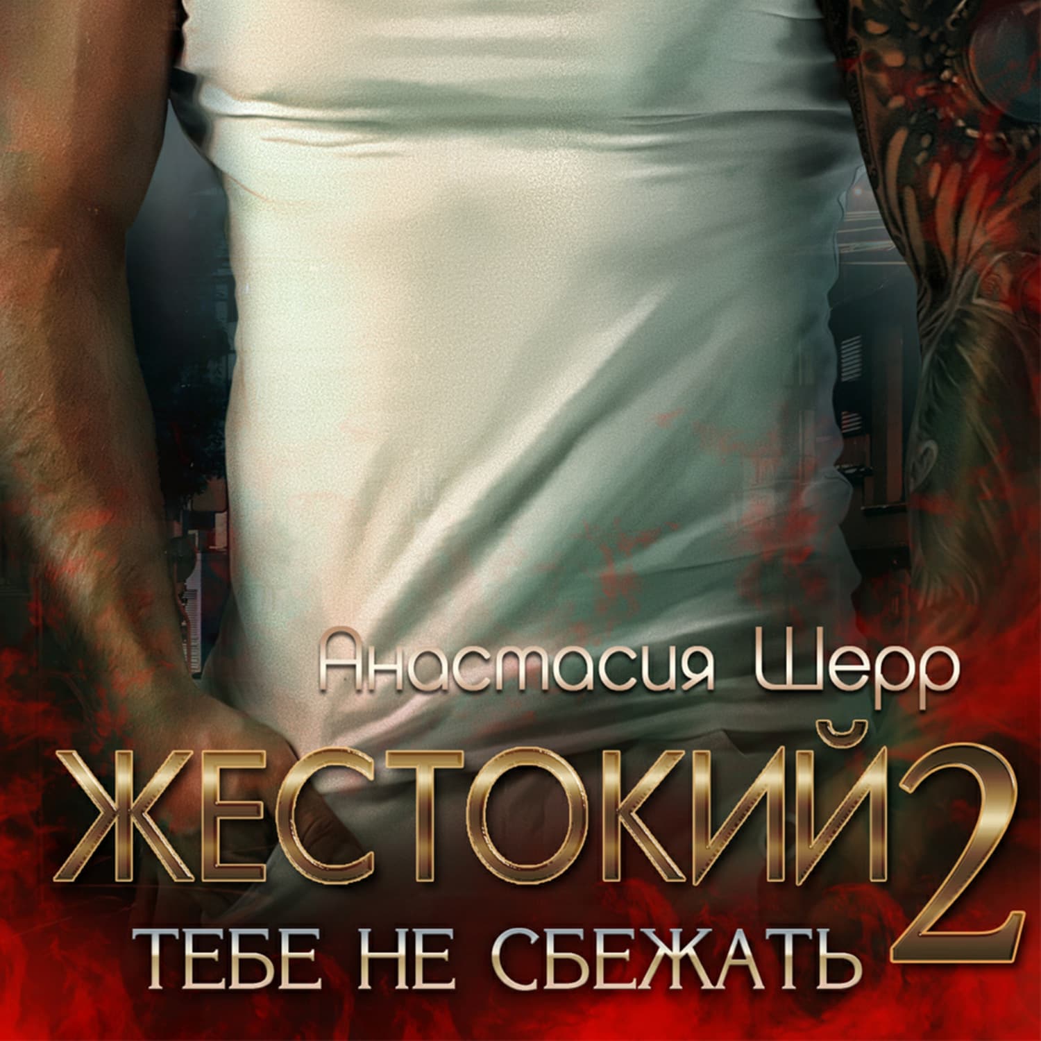 Обложка книги «Жестокий 2. Тебе не сбежать» — Анастасия Шерр