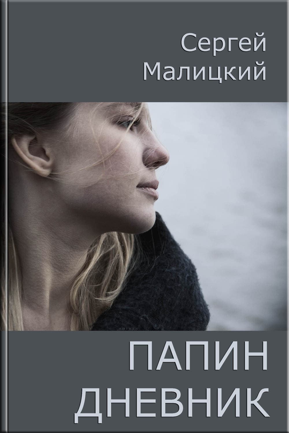 Обложка книги «Папин дневник или От и до: Дневник нерадивого родителя» — Сергей Малицкий, Ван Динго