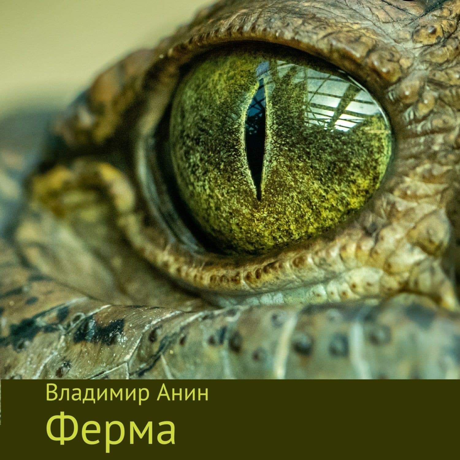 Обложка книги «Ферма» — Владимир Анин