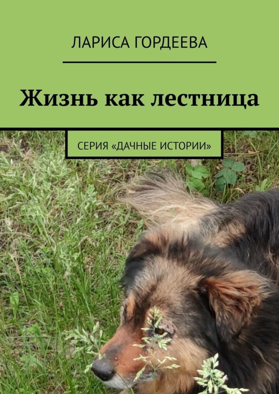 Обложка книги «Жизнь как лестница. Серия «Дачные истории»» — Людмила Гордеева