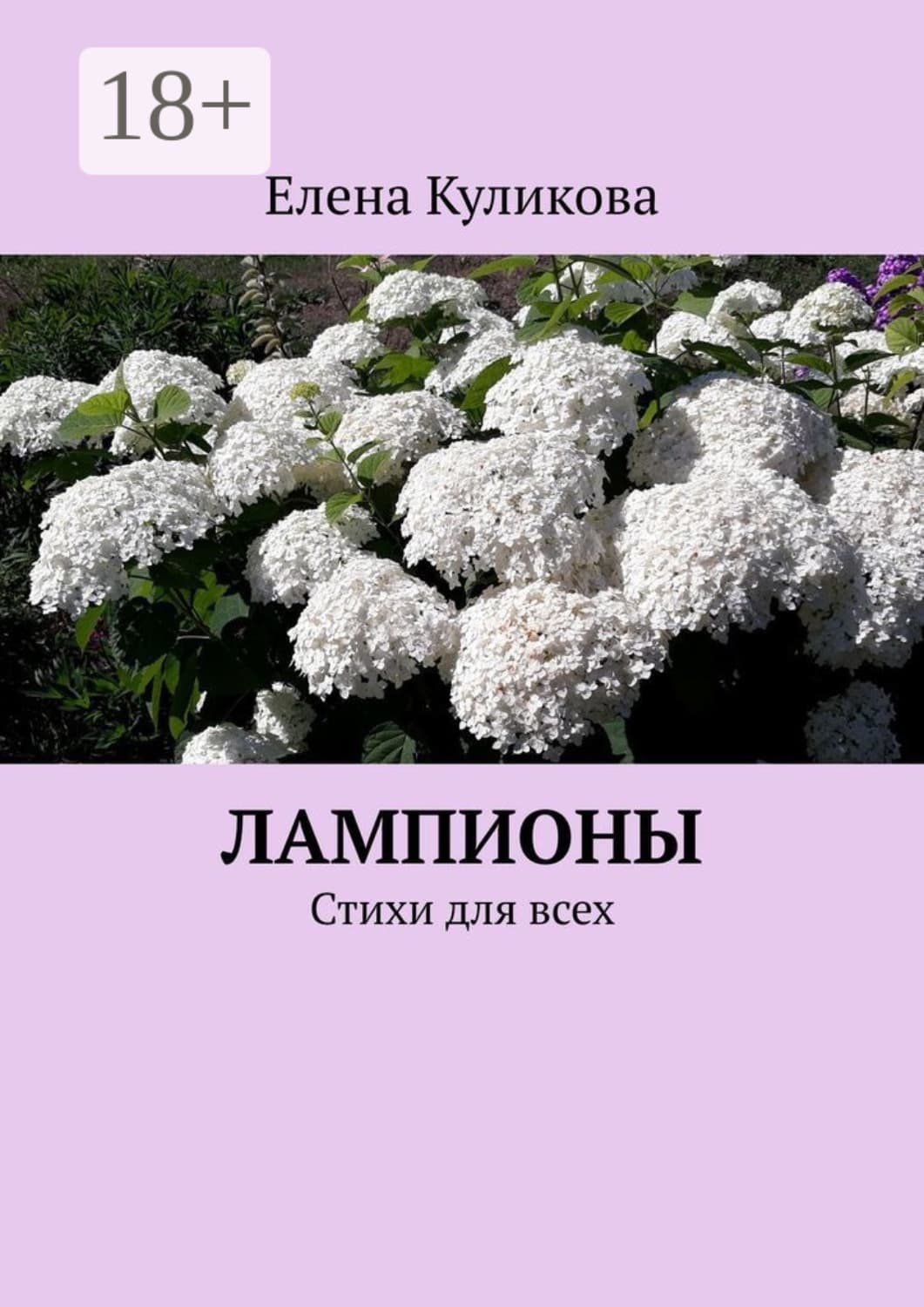Обложка книги «Лампионы. Стихи для всех» — Е. Ю. Куликова