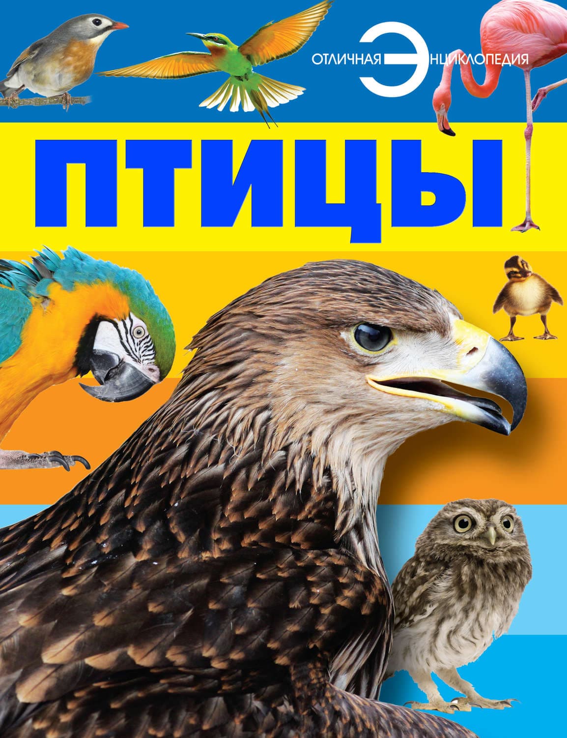 Обложка книги «Птицы» — Народное творчество (Фольклор), А. А. Спектор
