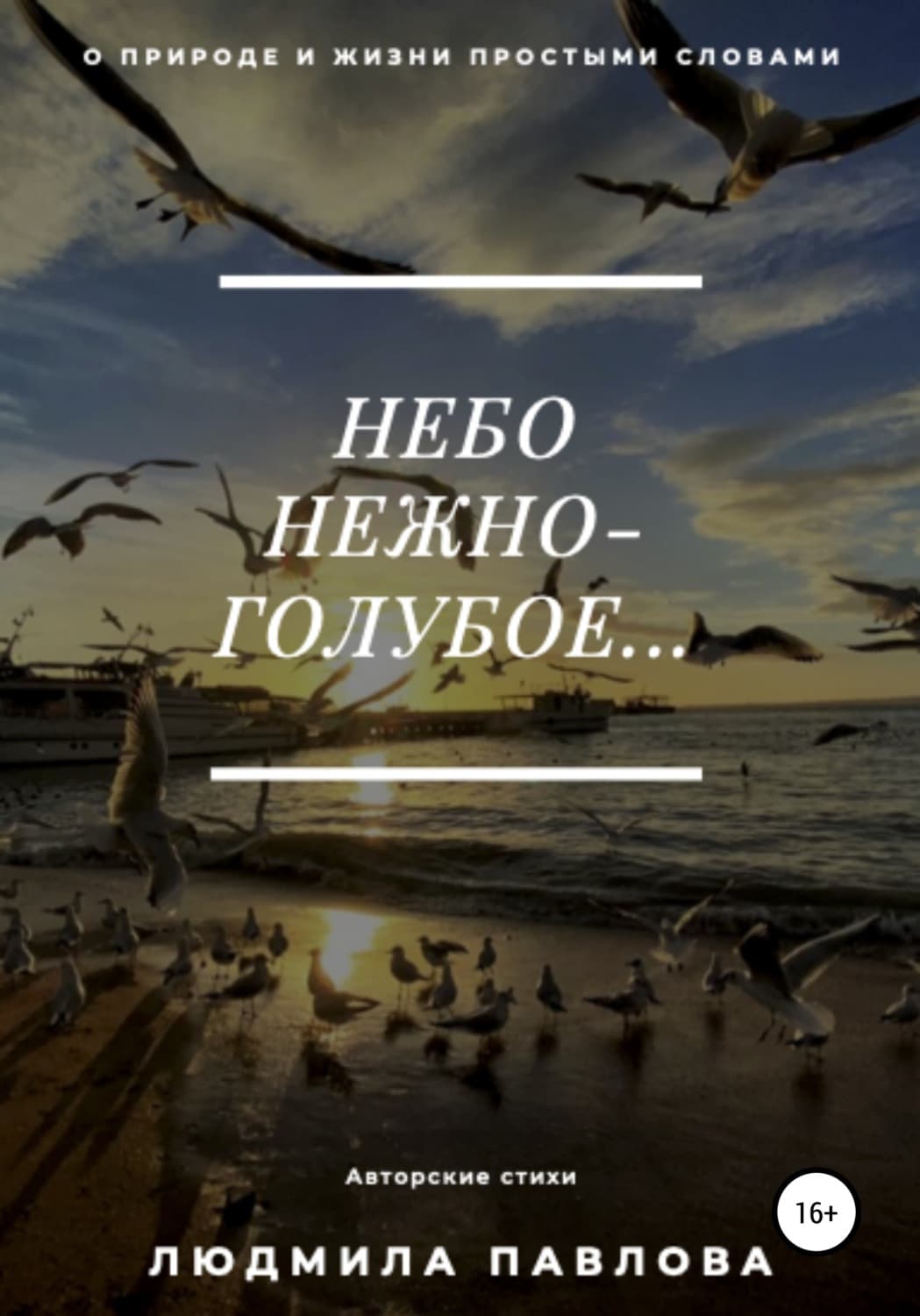 Обложка книги «Небо нежно-голубое» — Л. С. Павлова