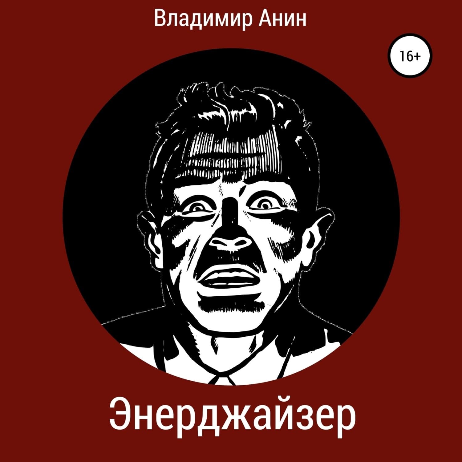Обложка книги «Энерджайзер» — Владимир Анин