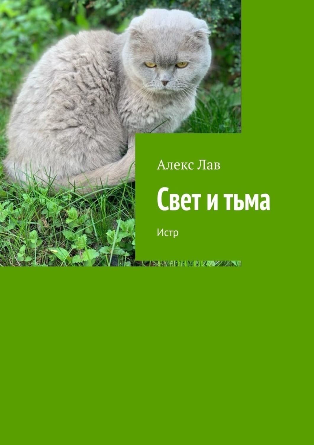 Обложка книги «Свет и тьма. Истр» — Агата Лав