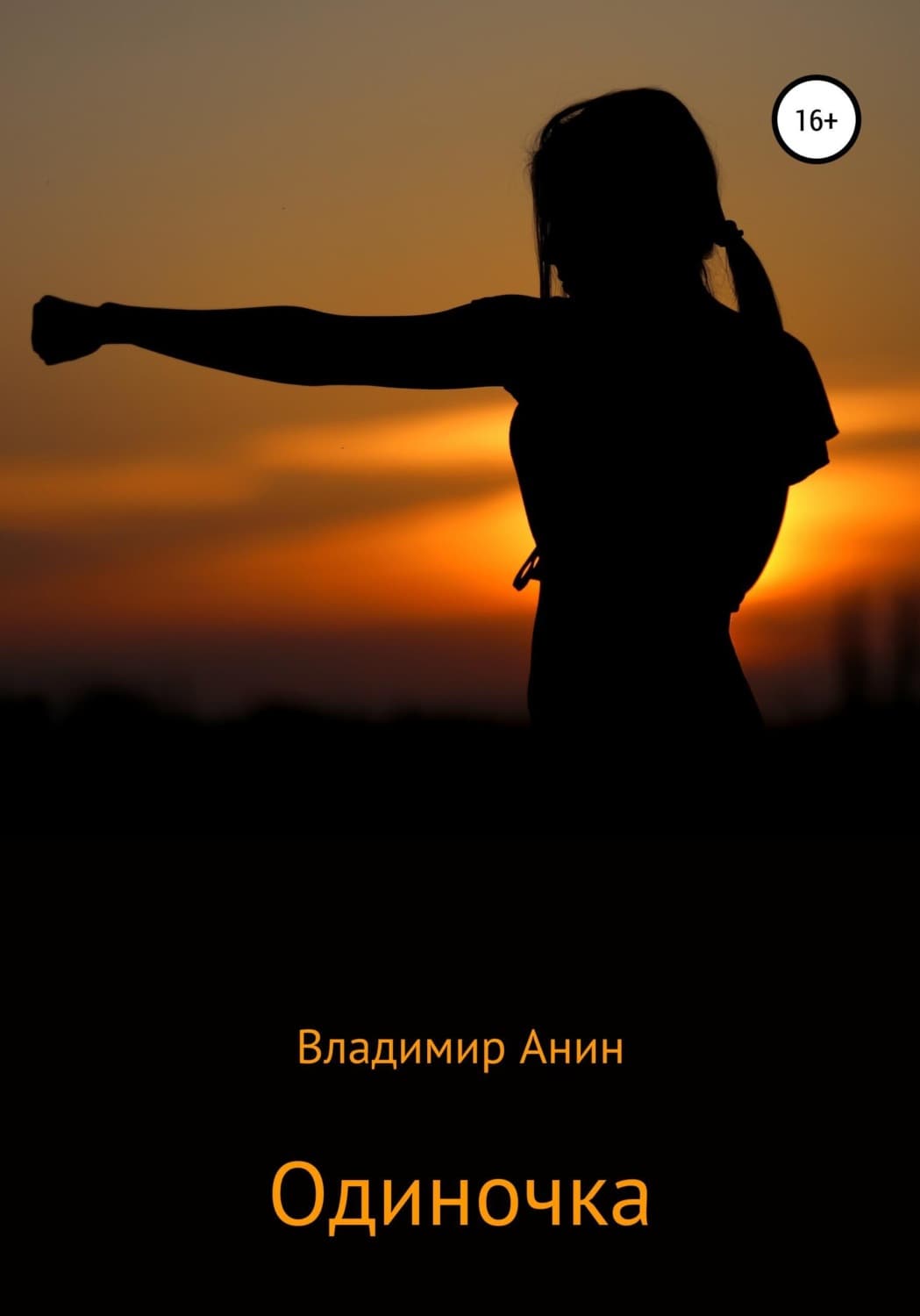 Обложка книги «Одиночка» — Владимир Анин