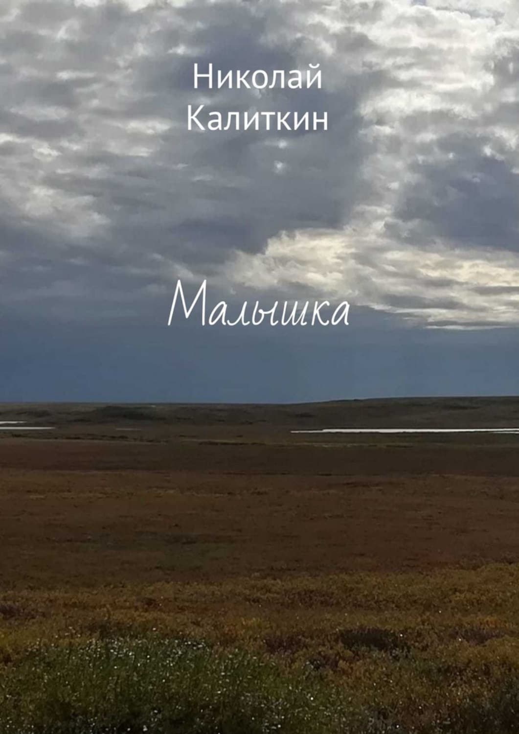 Обложка книги «Малышка» — Николай Калиткин