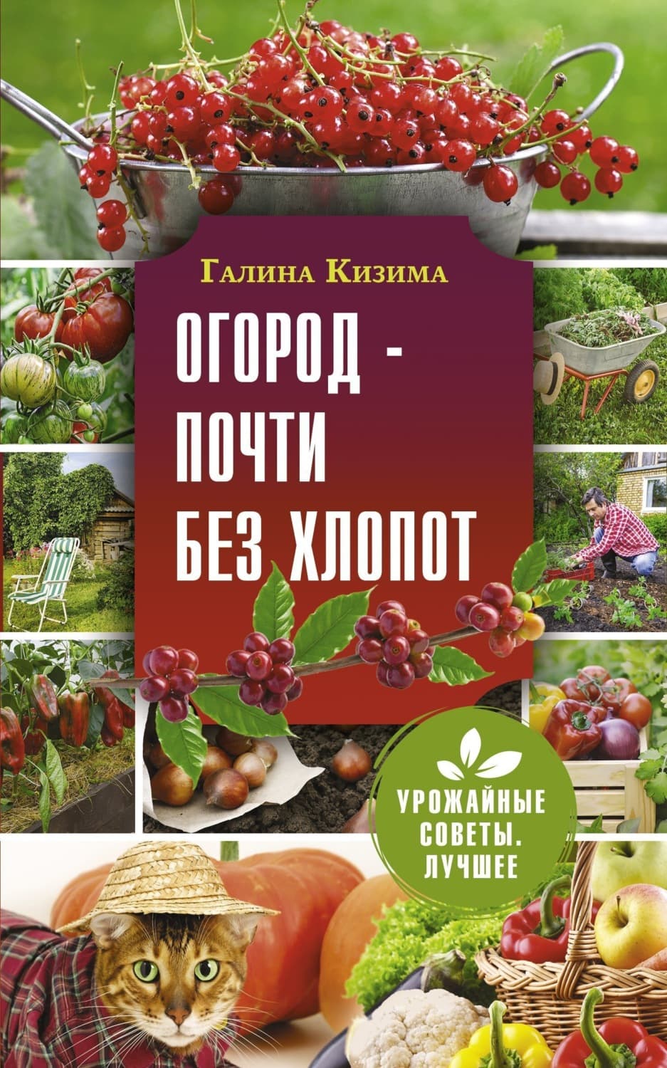 Обложка книги «Огород – почти без хлопот» — Кизима Галина