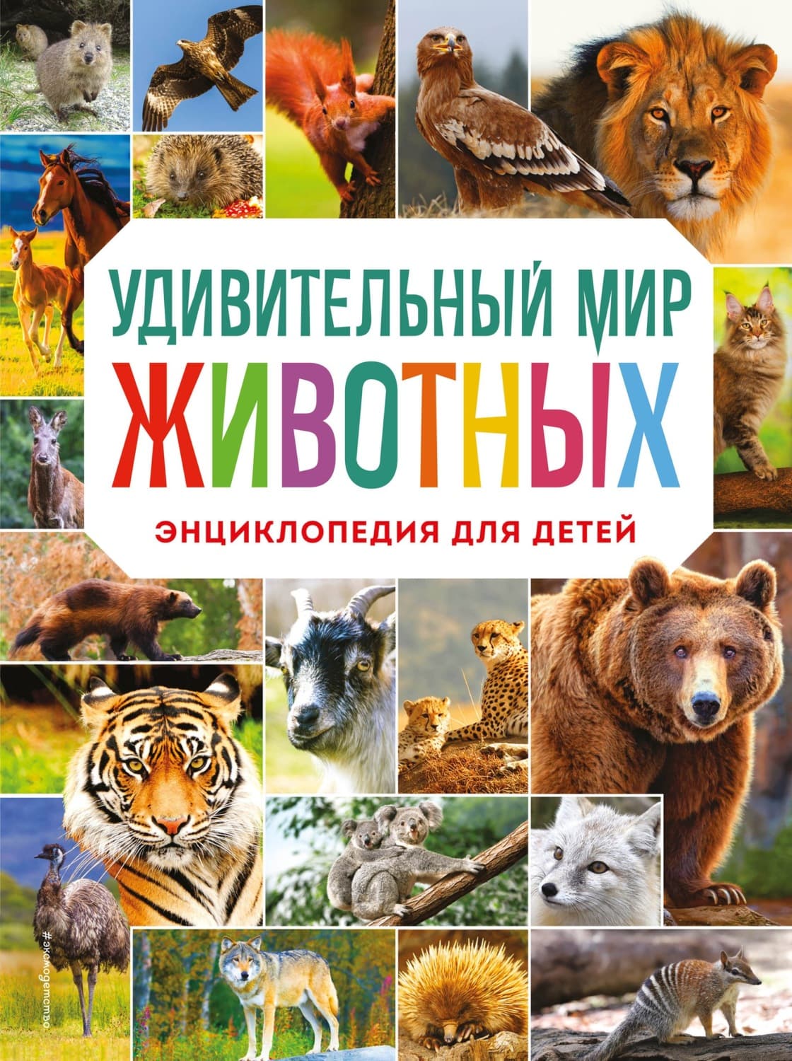 Обложка книги «Удивительный мир животных. Энциклопедия для детей» — Н. М. Баранова