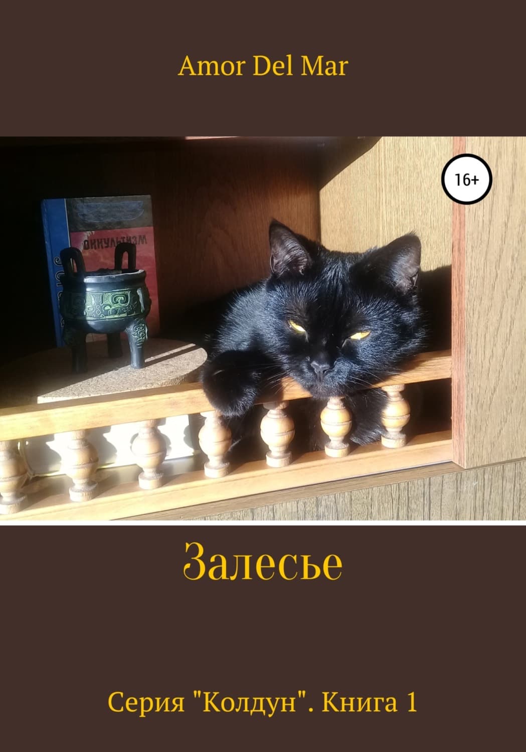 Обложка книги «Залесье» — Ан Мар