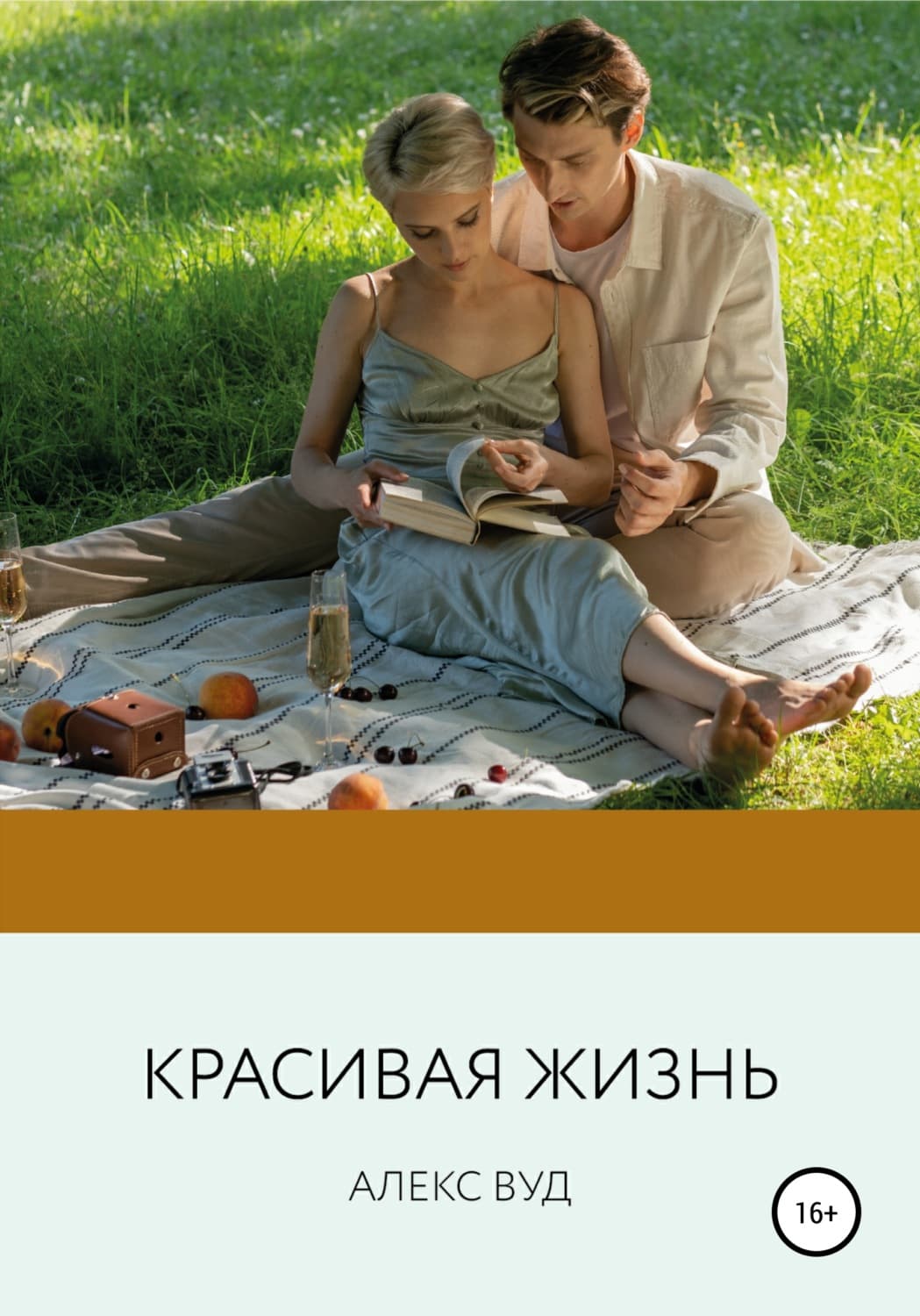 Обложка книги «Красивая жизнь» — Алекс Вуд