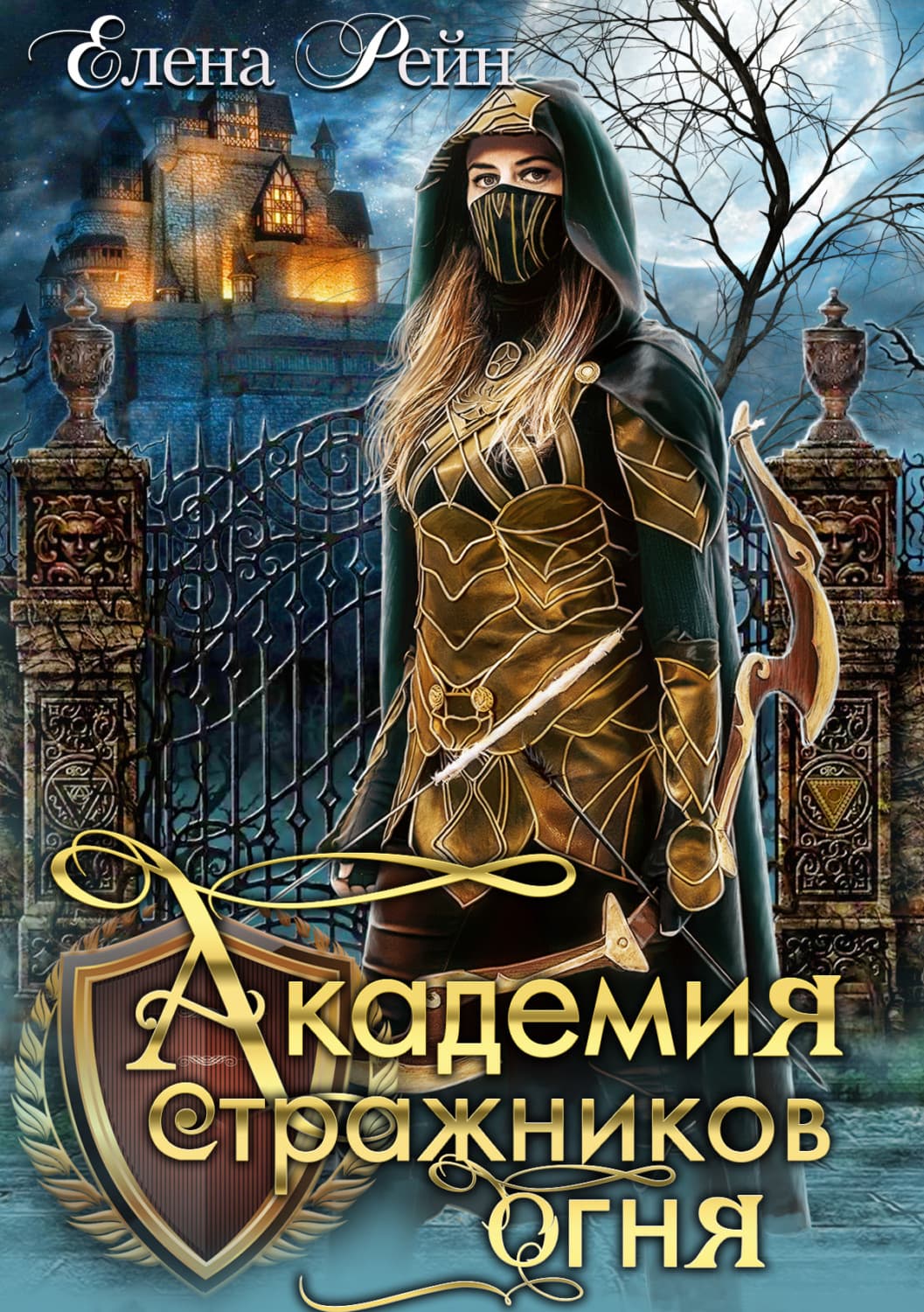 Обложка книги «Академия стражников огня» — Елена Рейн