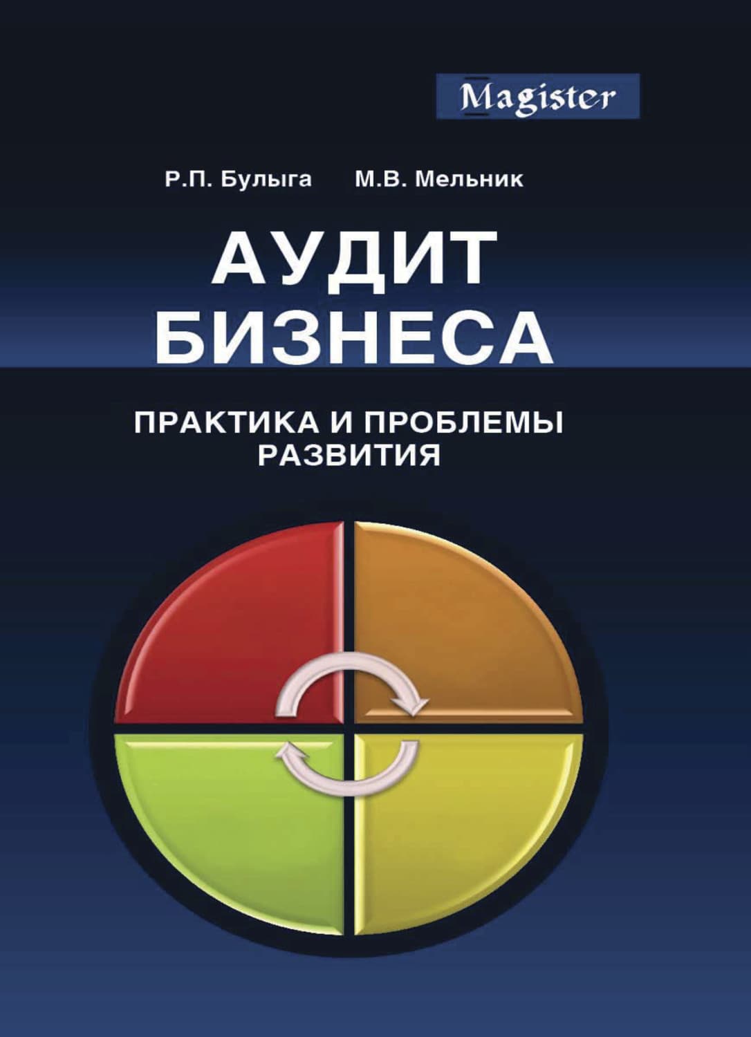 Обложка книги «Аудит бизнеса. Практика и проблемы развития» — Роман Булыга
