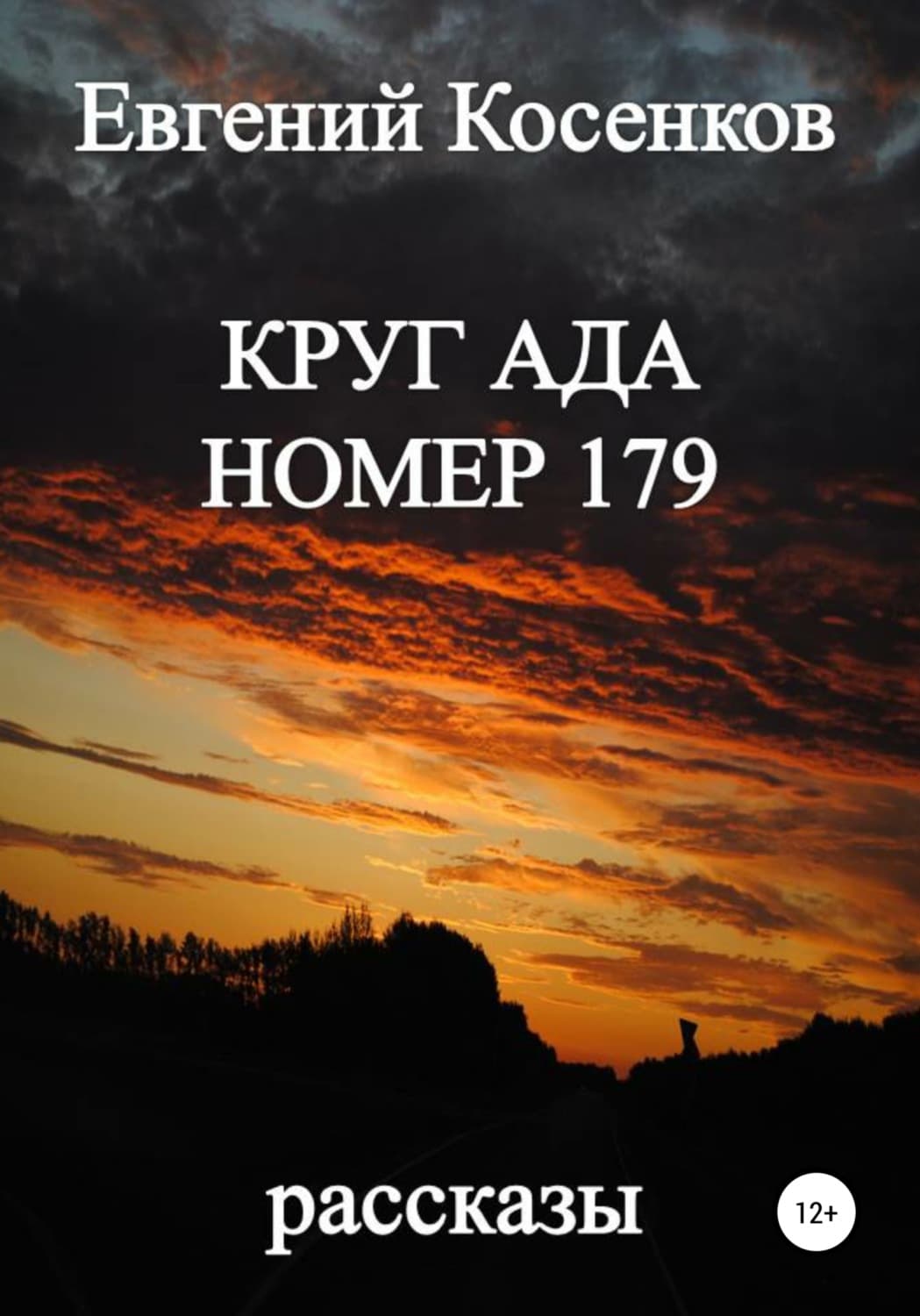 Обложка книги «Круг ада номер 179» — Евгений Косенков