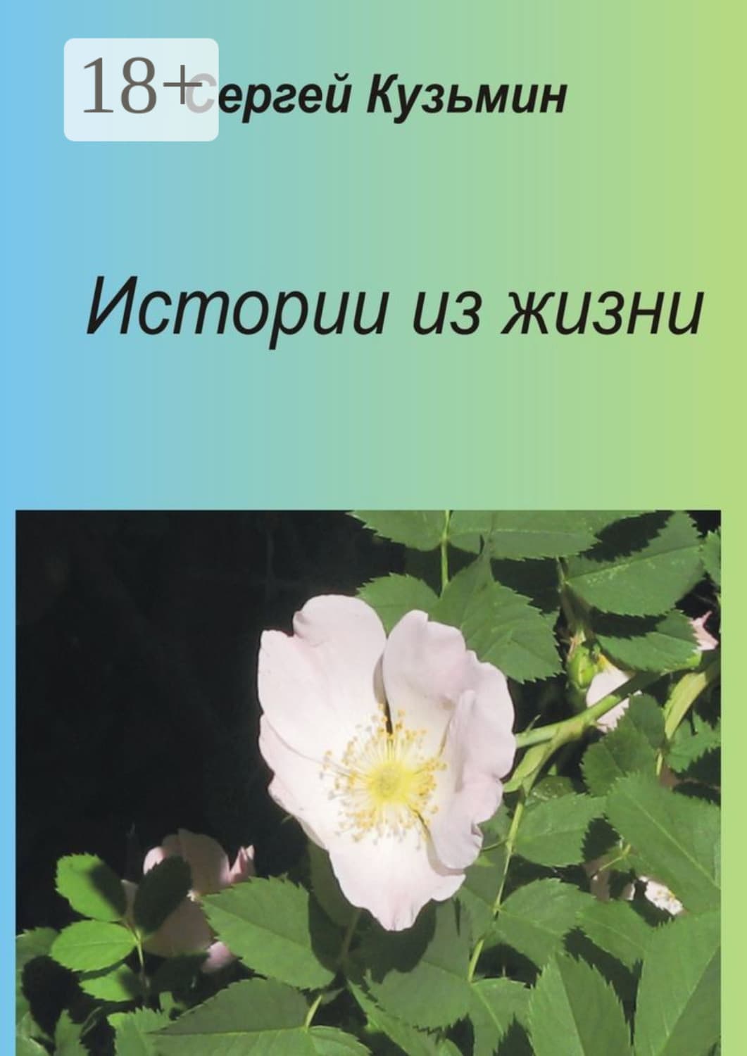 Обложка книги «Истории из жизни» — С. Л. Кузьмин
