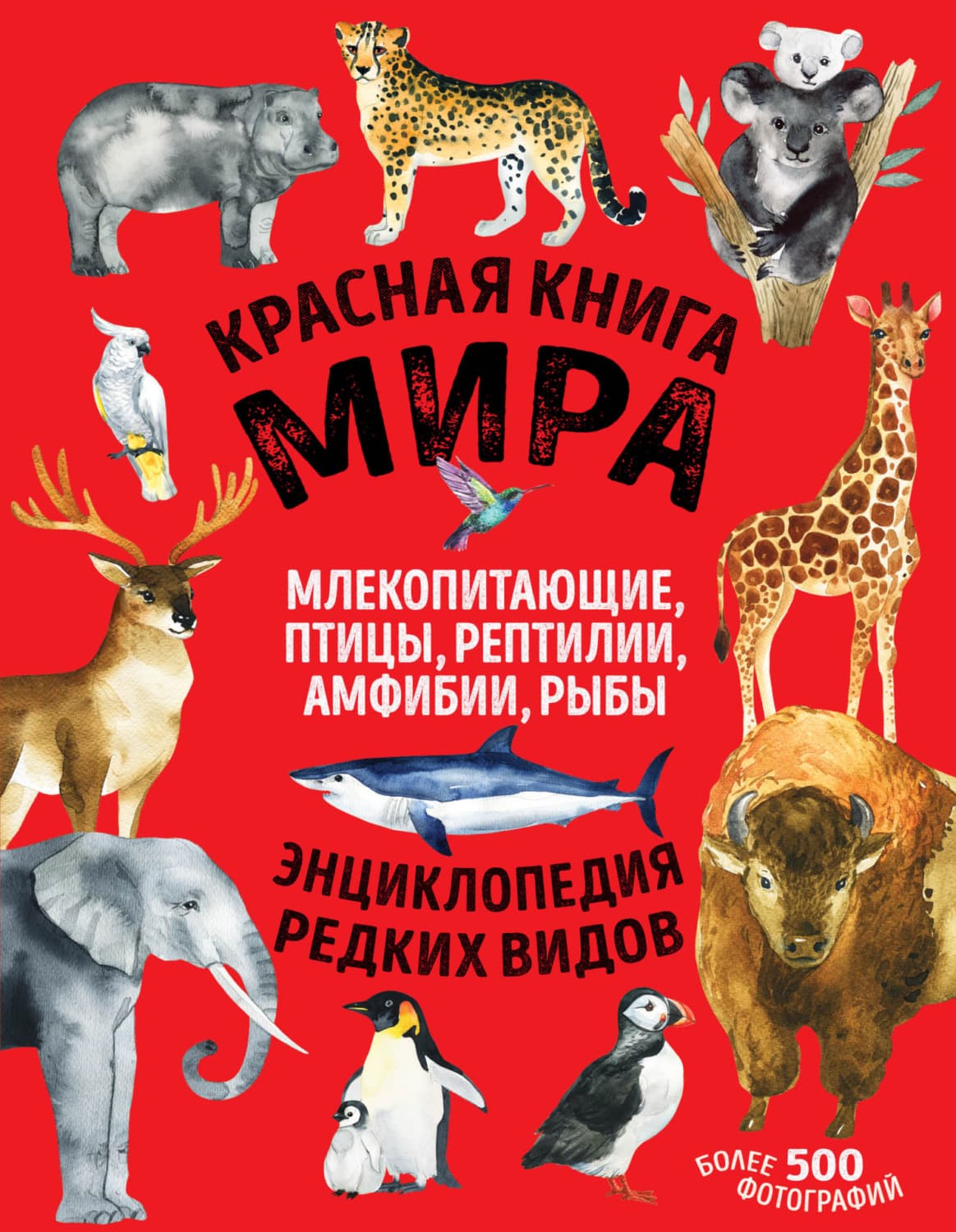 Обложка книги «Красная книга мира. Млекопитающие, птицы, рептилии, амфибии, рыбы» — Дмитрий Лукашанец