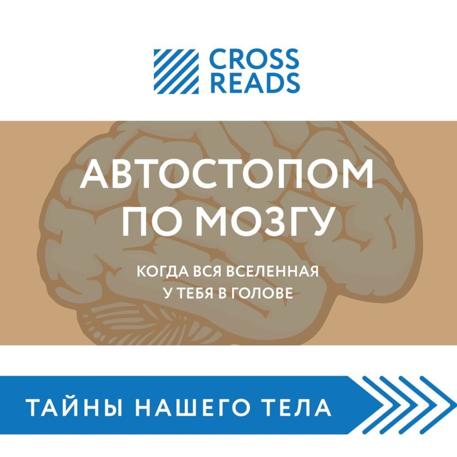 Обложка книги «Саммари книги «Автостопом по мозгу. Когда вся вселенная у тебя в голове»» — Автор неизвестен