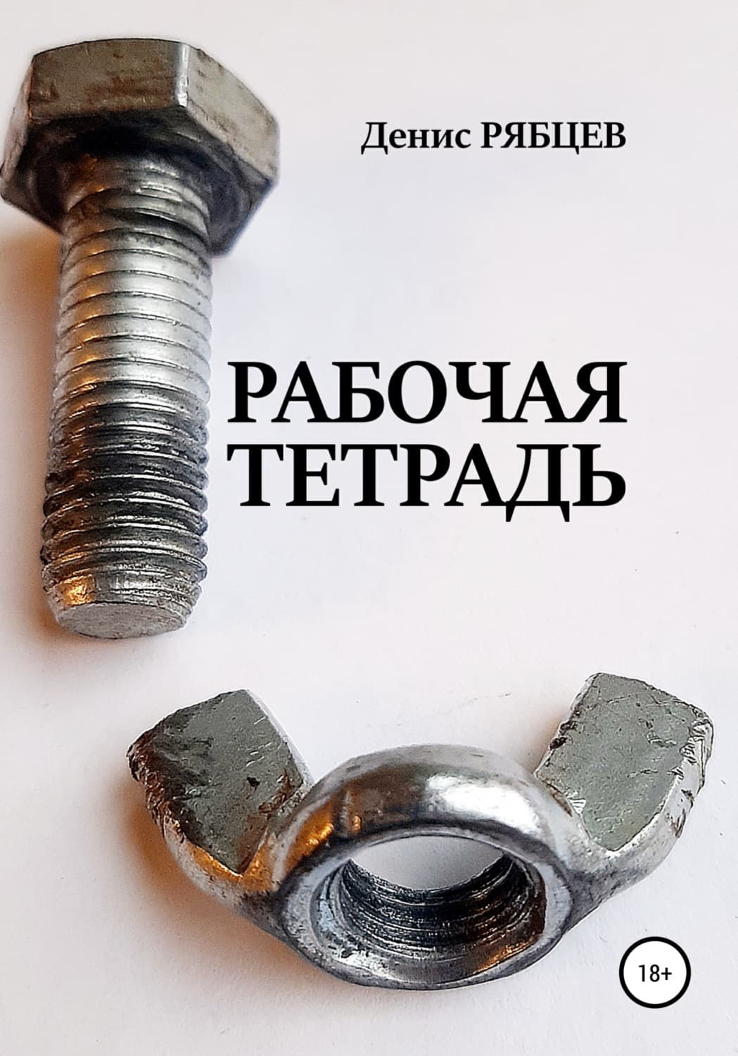 Обложка книги «Рабочая тетрадь» — Денис Рябцев