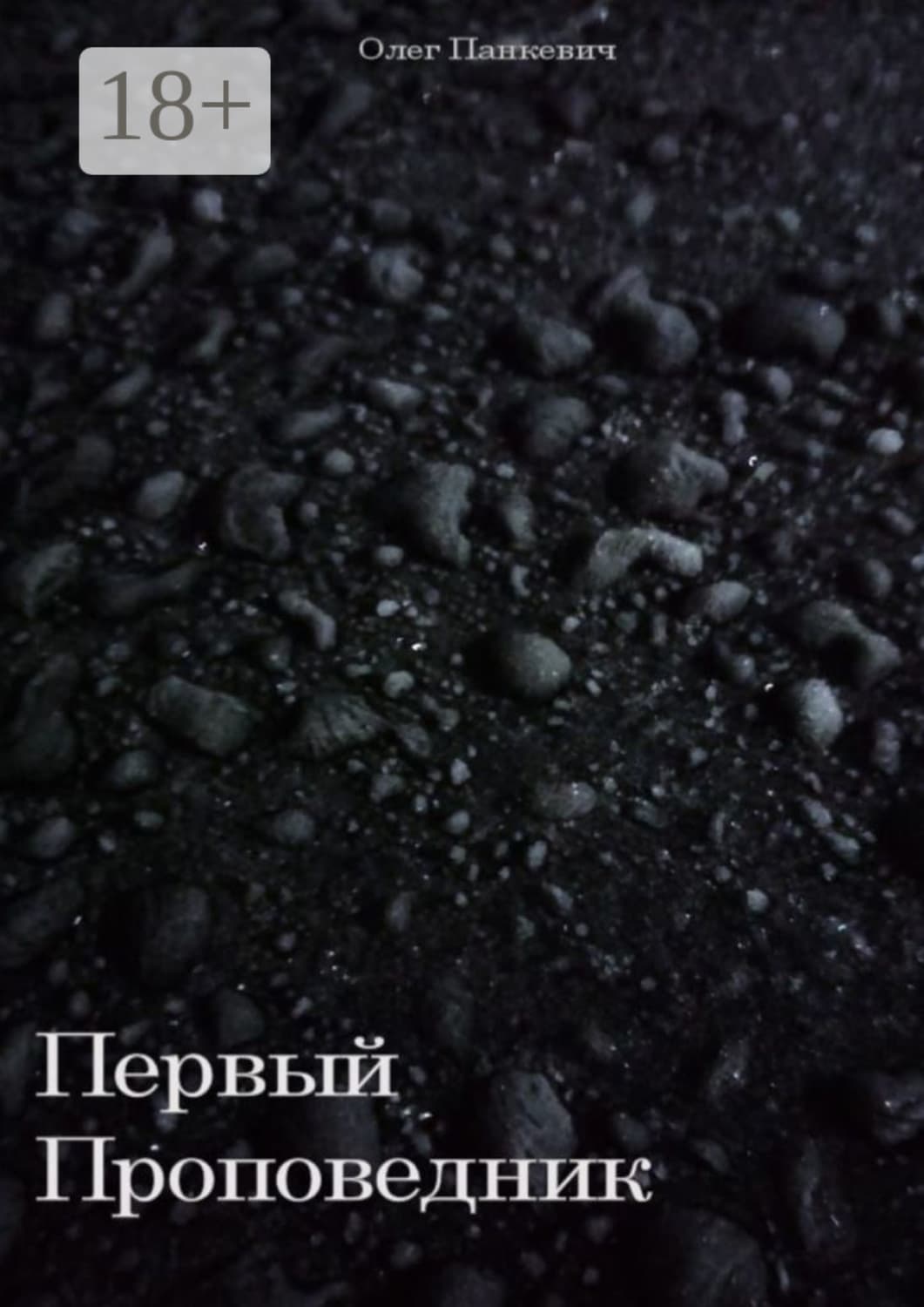 Обложка книги «Первый Проповедник» — Олег