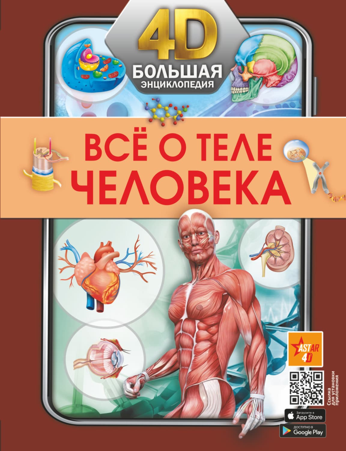 Обложка книги «Всё о теле человека» — А. А. Спектор