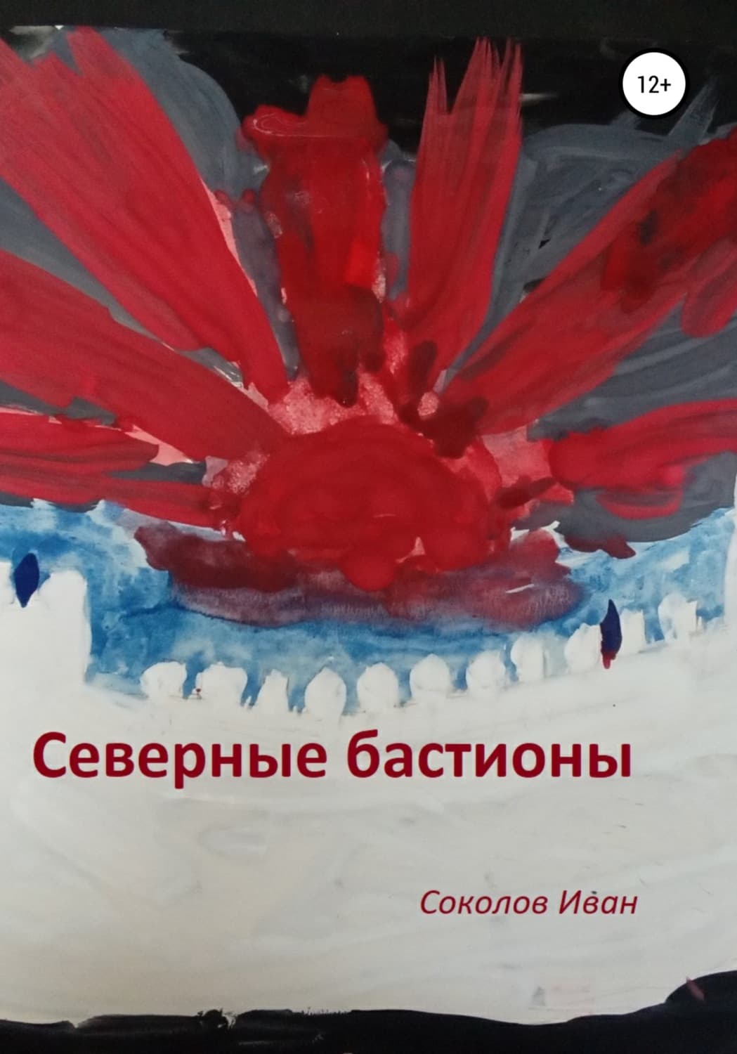 Обложка книги «Северные бастионы» — Илья Соколов