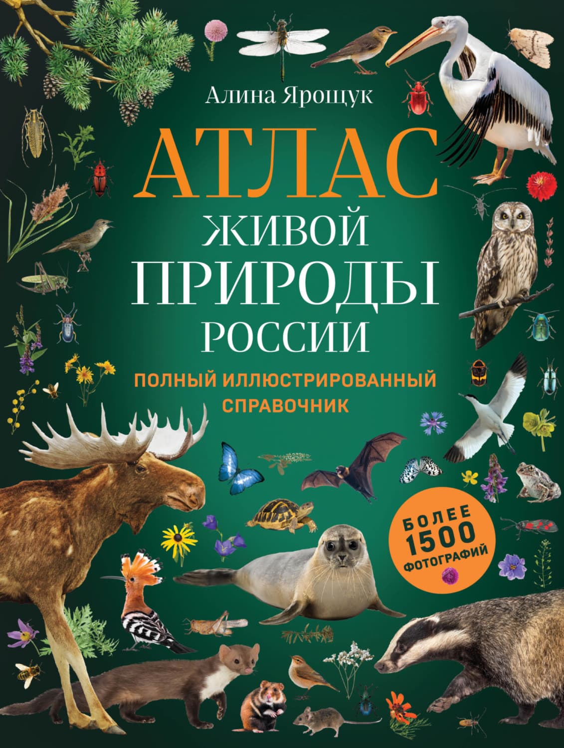 Обложка книги «Атлас живой природы России. Полный иллюстрированный справочник» — Алина Ярощук