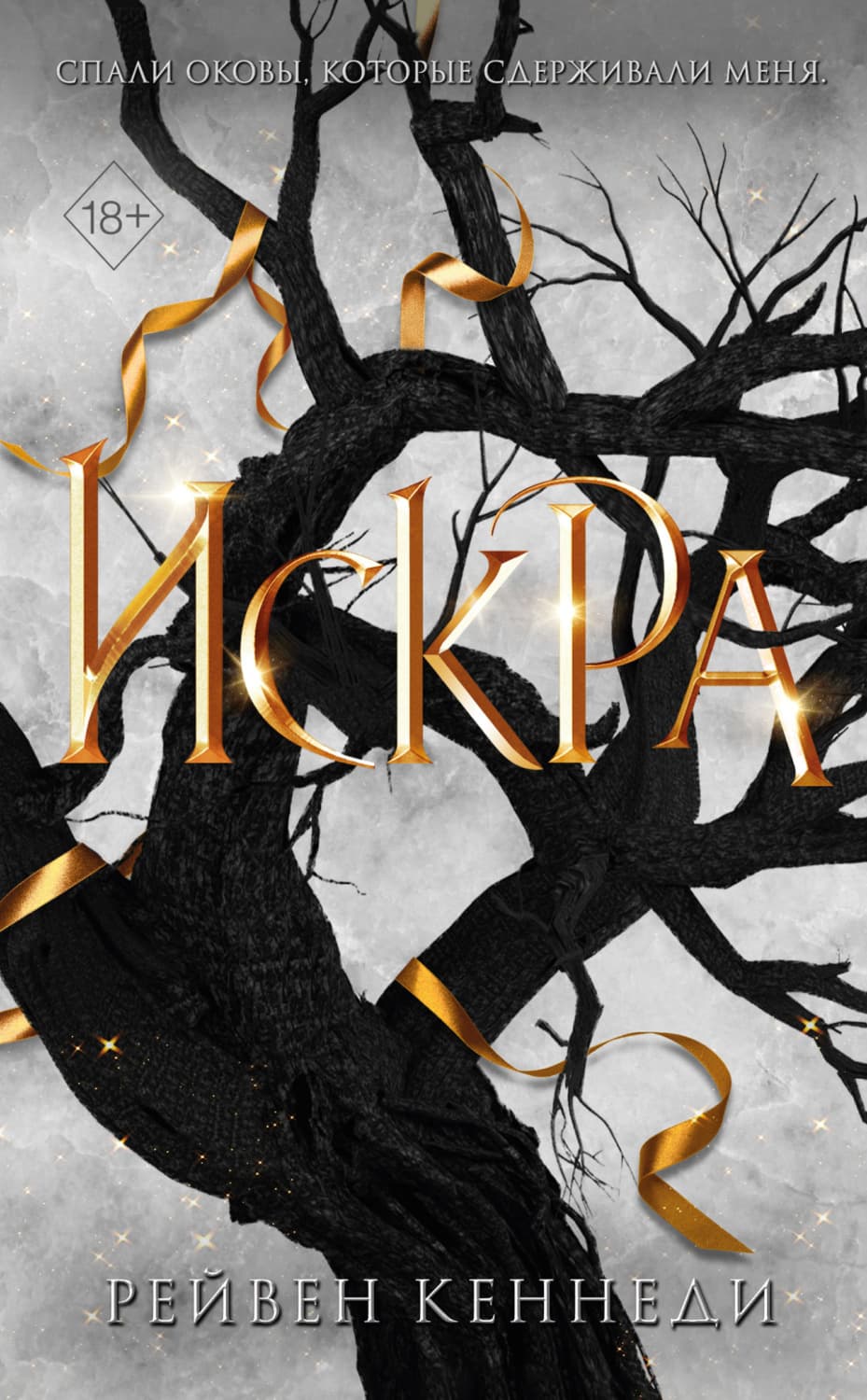 Обложка книги «Искра» — Рейвен Кеннеди