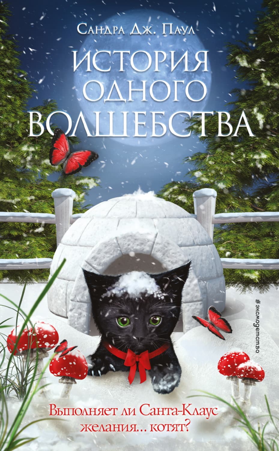 Обложка книги «История одного волшебства» — Сандра Дж. Паул
