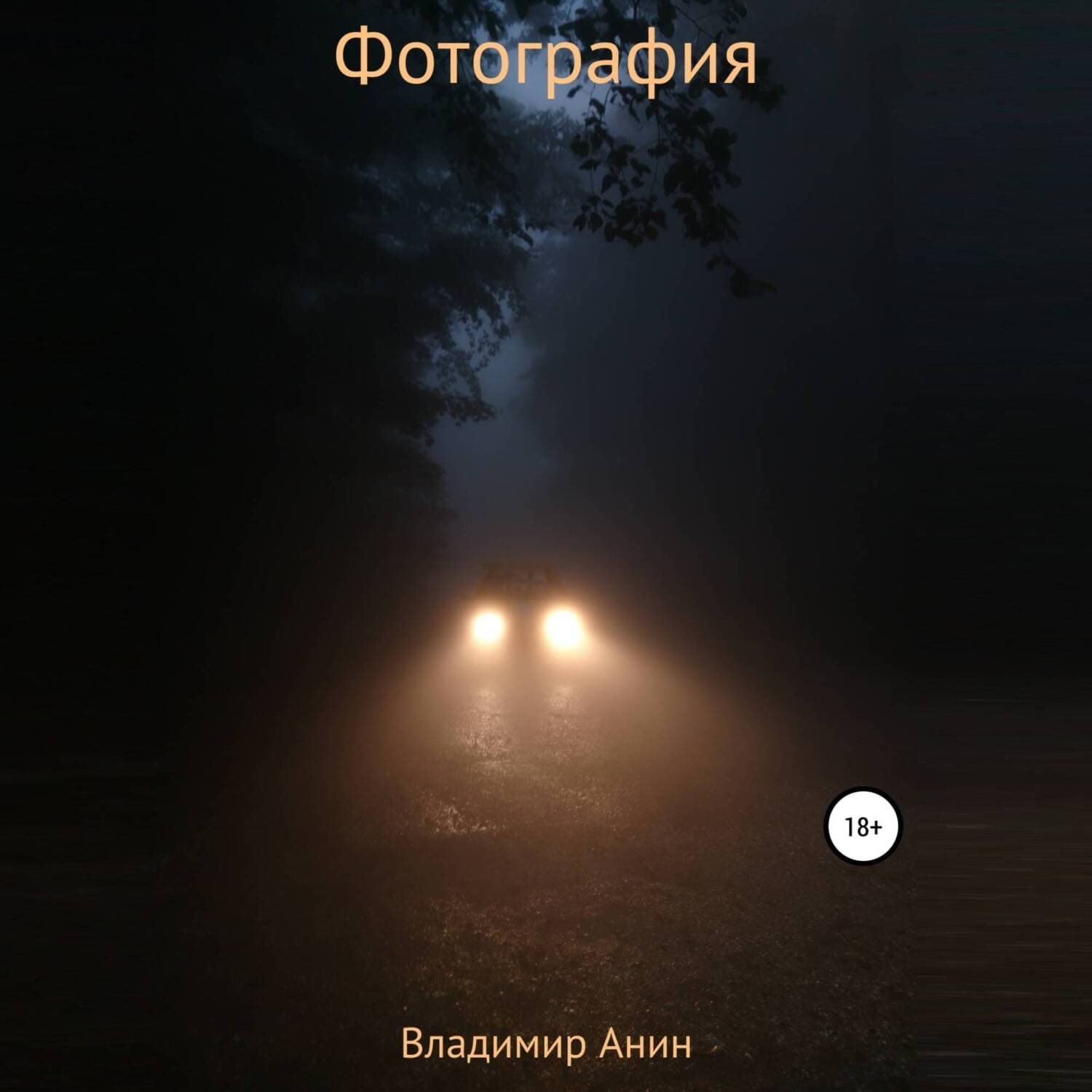 Обложка книги «Фотография» — Владимир Анин
