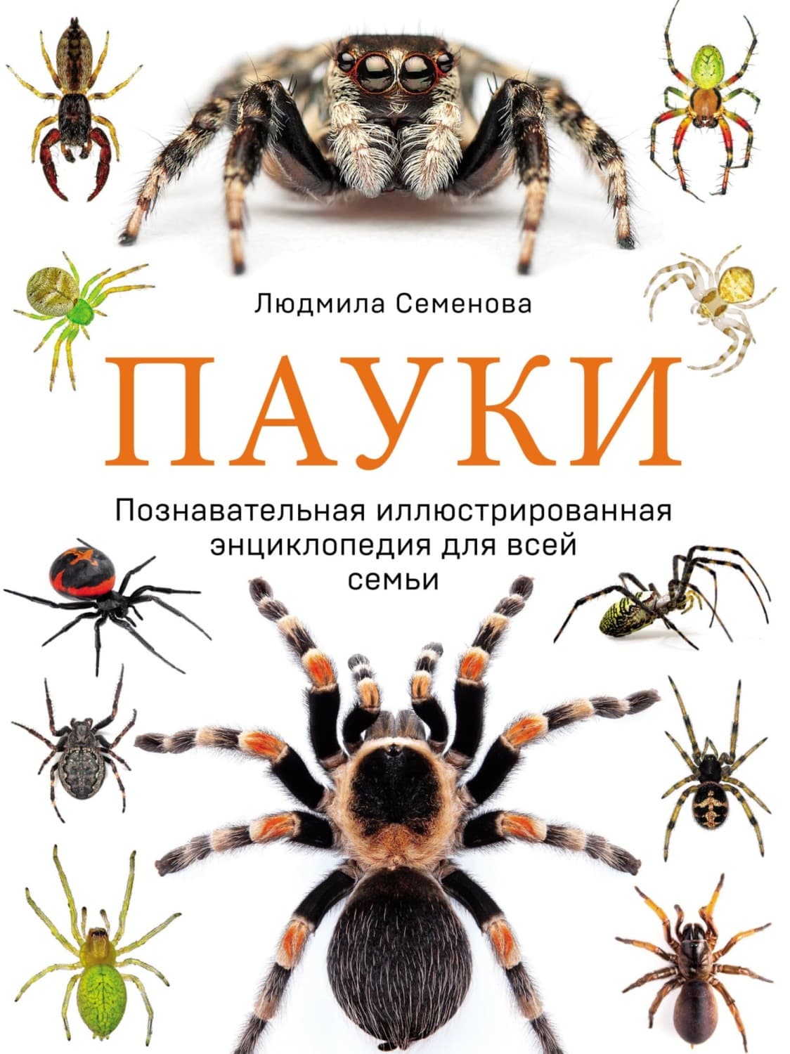 Обложка книги «Пауки. Познавательная иллюстрированная энциклопедия для всей семьи» — Людмила Семенова