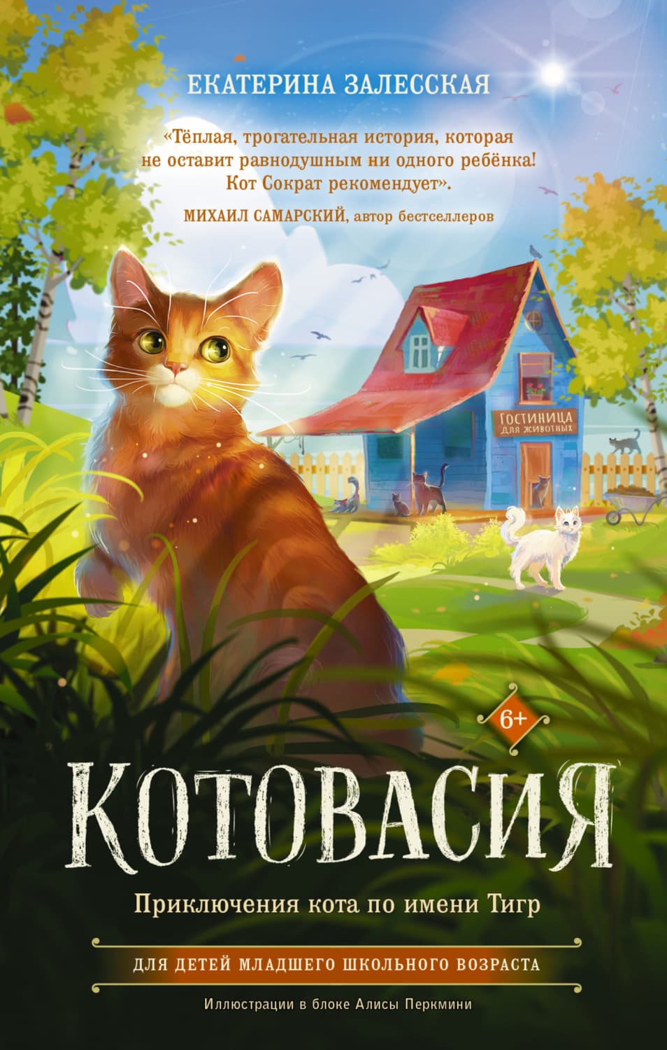Обложка книги «Котовасия. Приключения кота по имени Тигр» — Екатерина Залесская