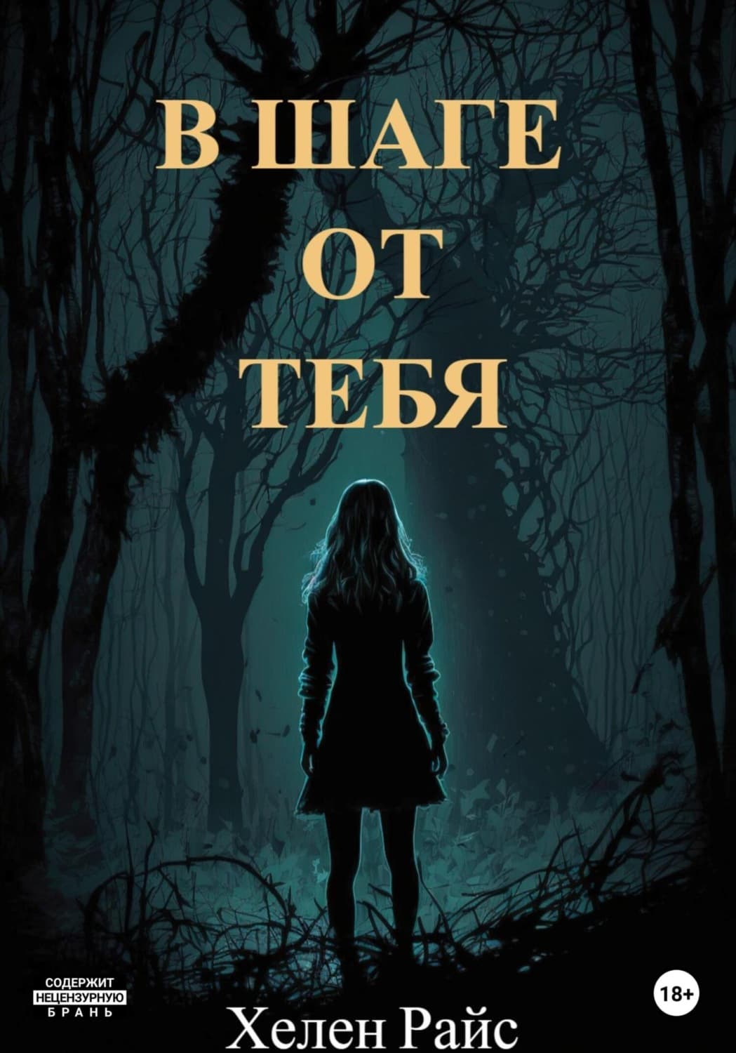 Обложка книги «В шаге от тебя» — Хайди Райс