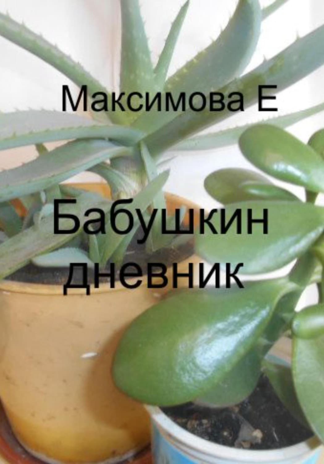 Обложка книги «Бабушкин дневник» — Екатерина Максимова