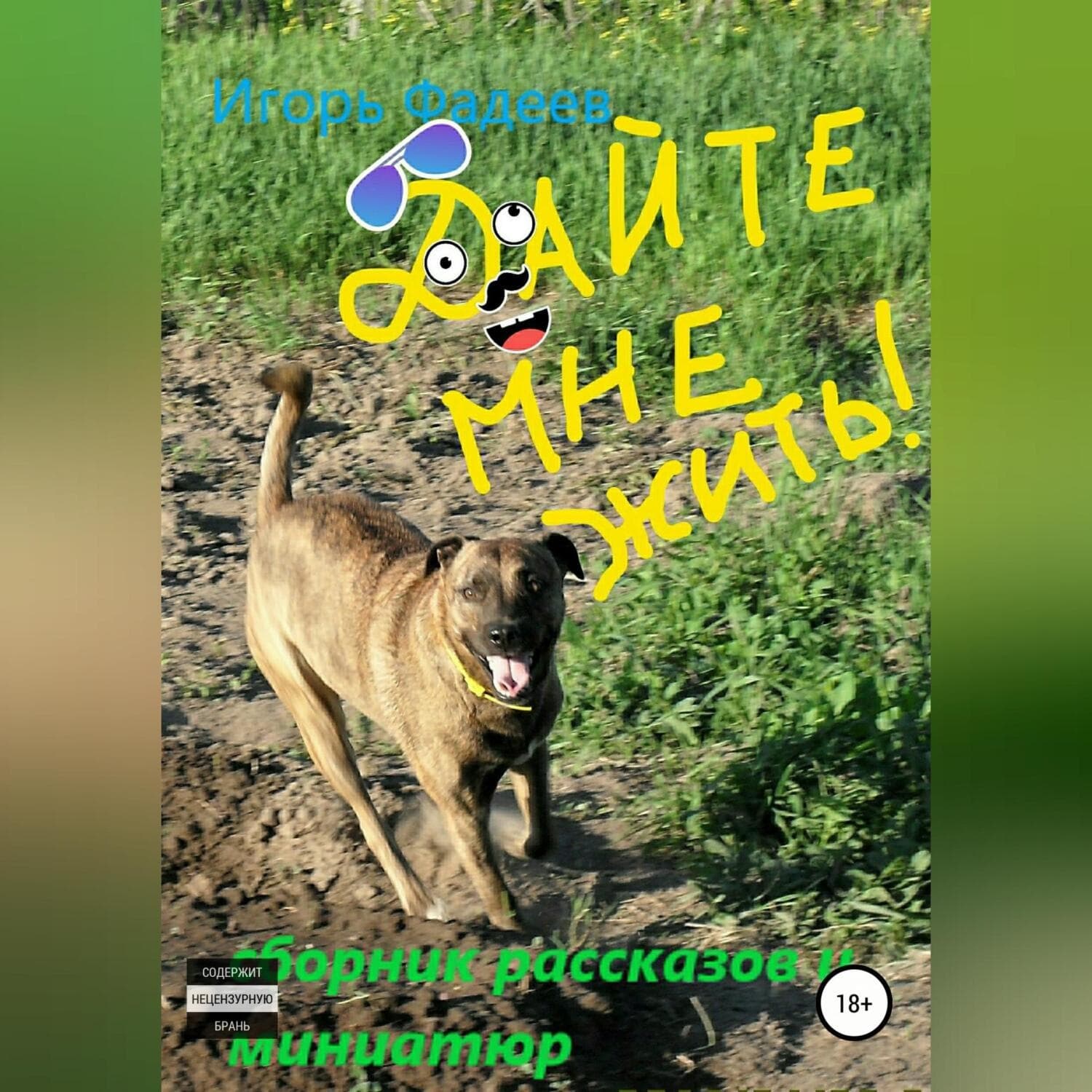 Обложка книги «Дайте мне жить! Сборник рассказов» — Игорь Фадеев