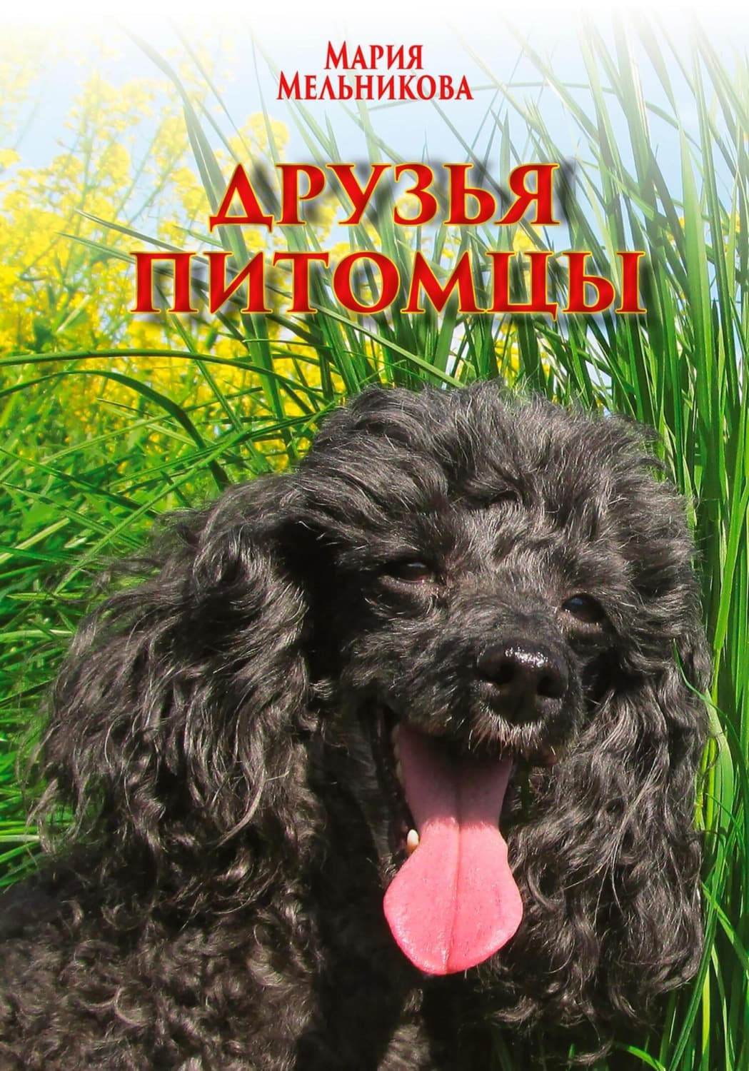Обложка книги «Друзья-питомцы» — Мария Мельникова