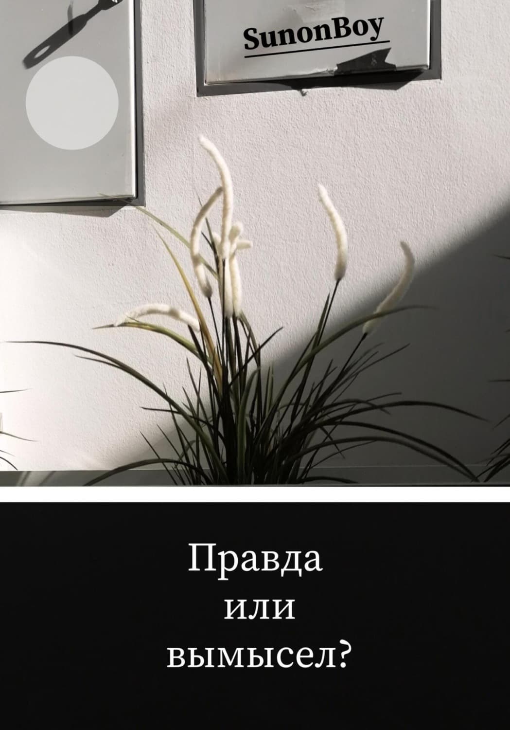 Обложка книги «Правда или вымысел?» — Сунон Боы