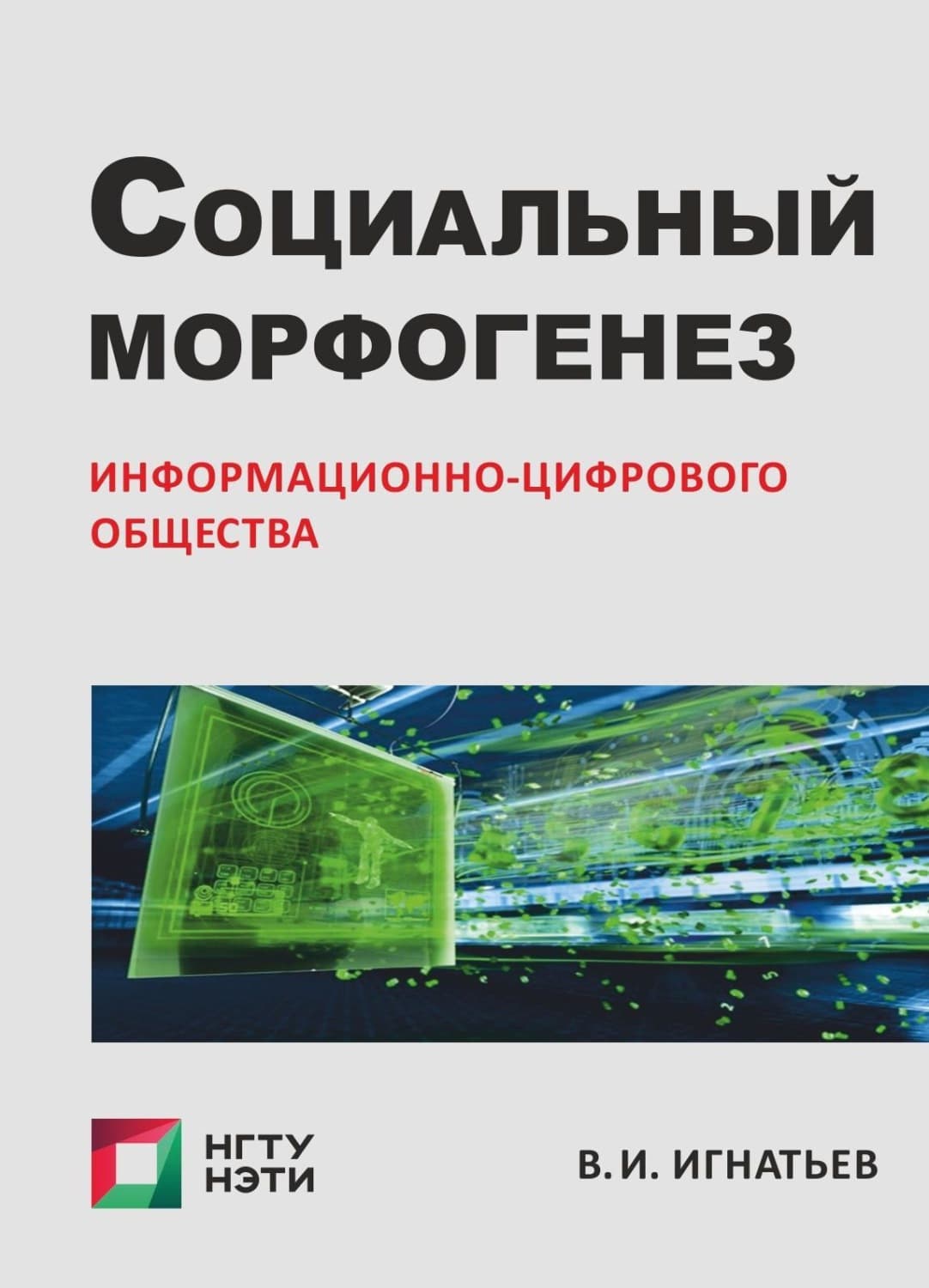 Обложка книги «Социальный морфогенез информационно-цифрового общества. Очерки социологии гибридного социума» — В. И. Игнатьев
